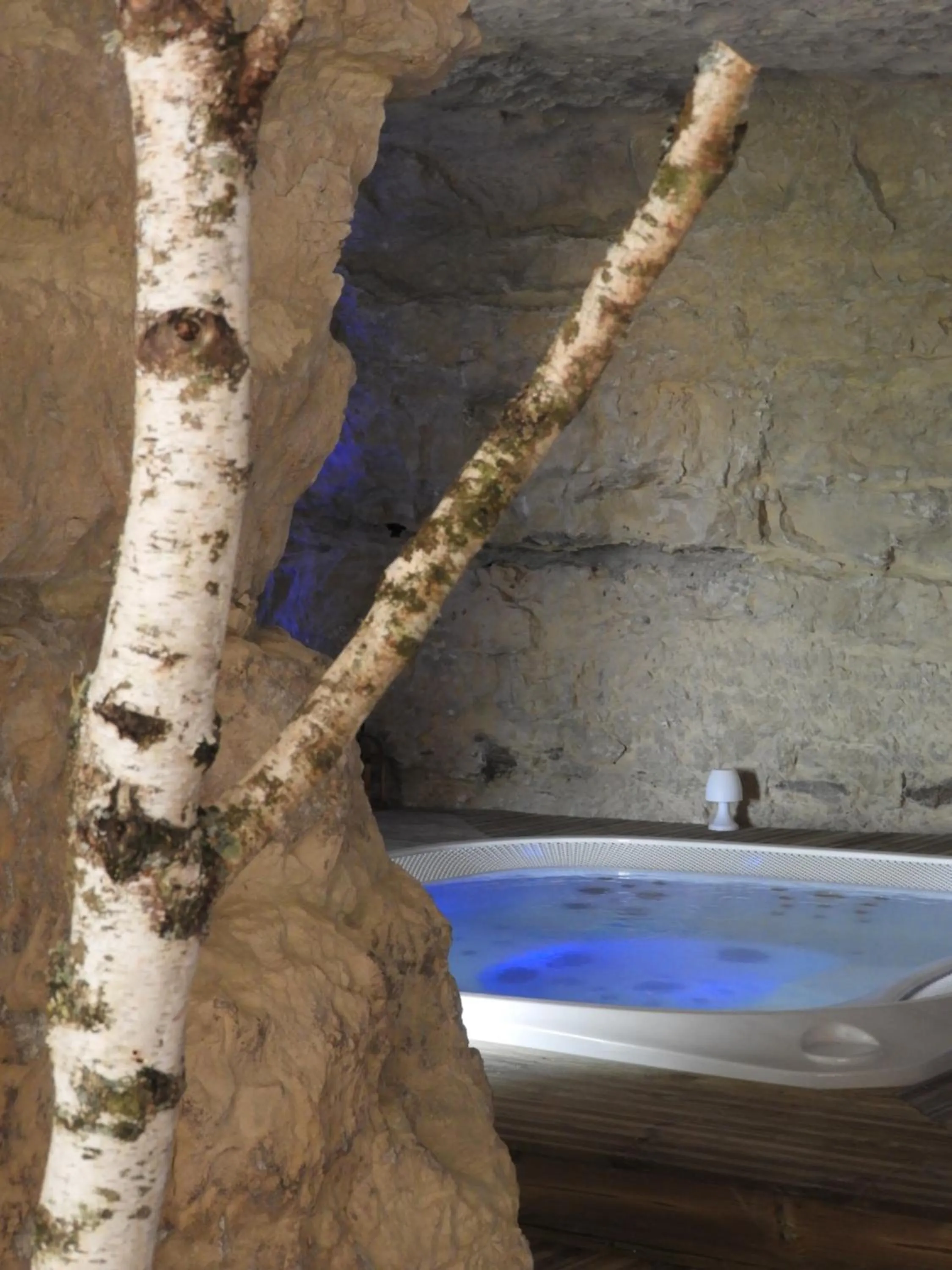 Spa and wellness centre/facilities in Le Chateau de la Barre