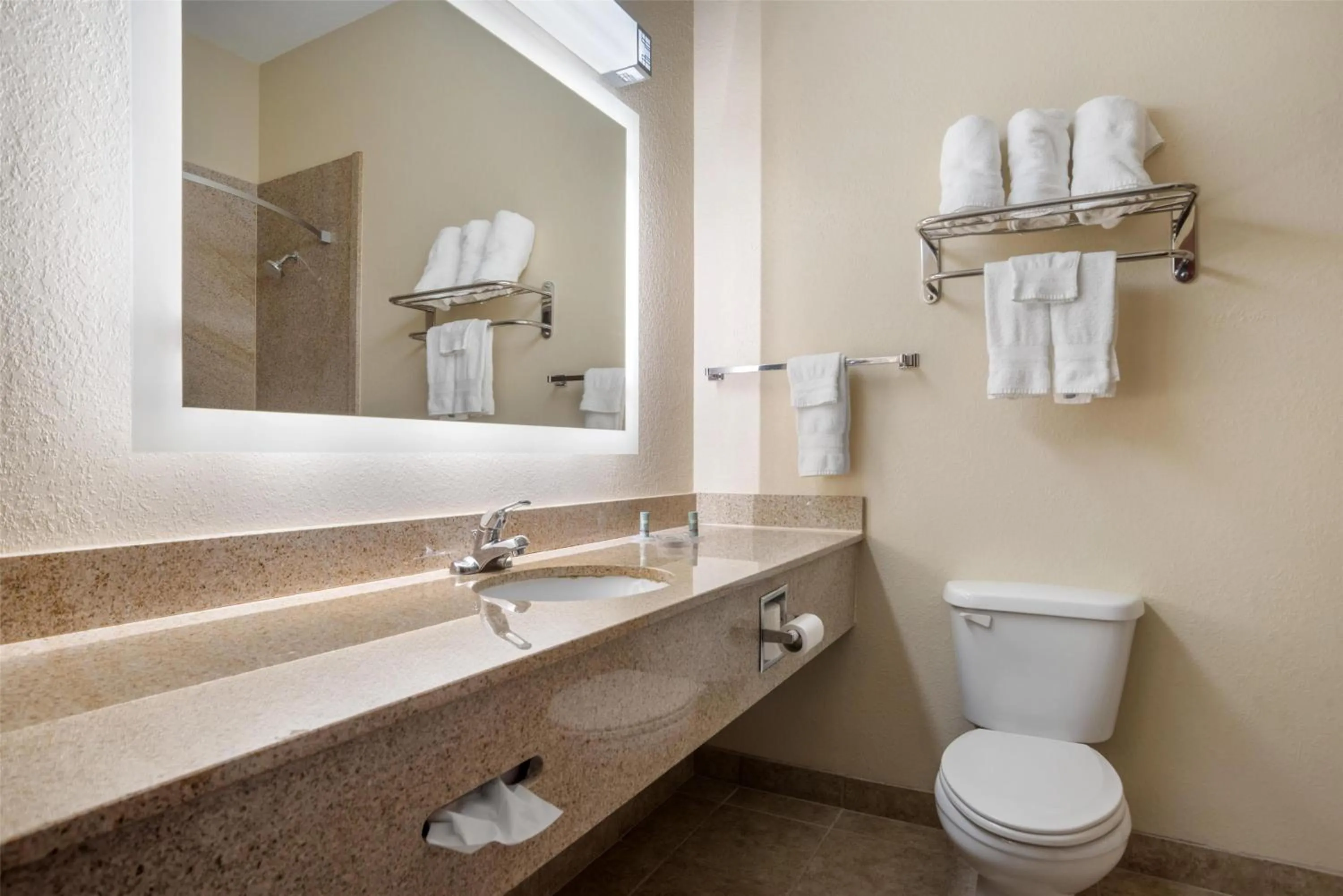 Bathroom in Best Western Opp Inn