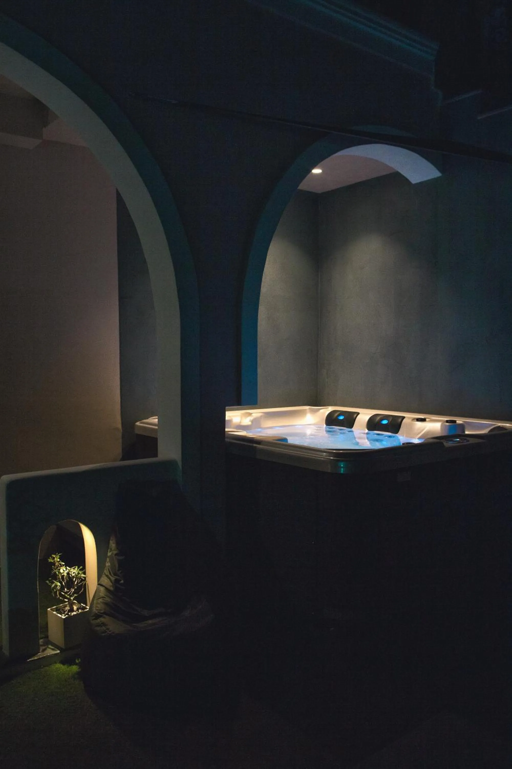 Garden in Villa Galaxy Santorini