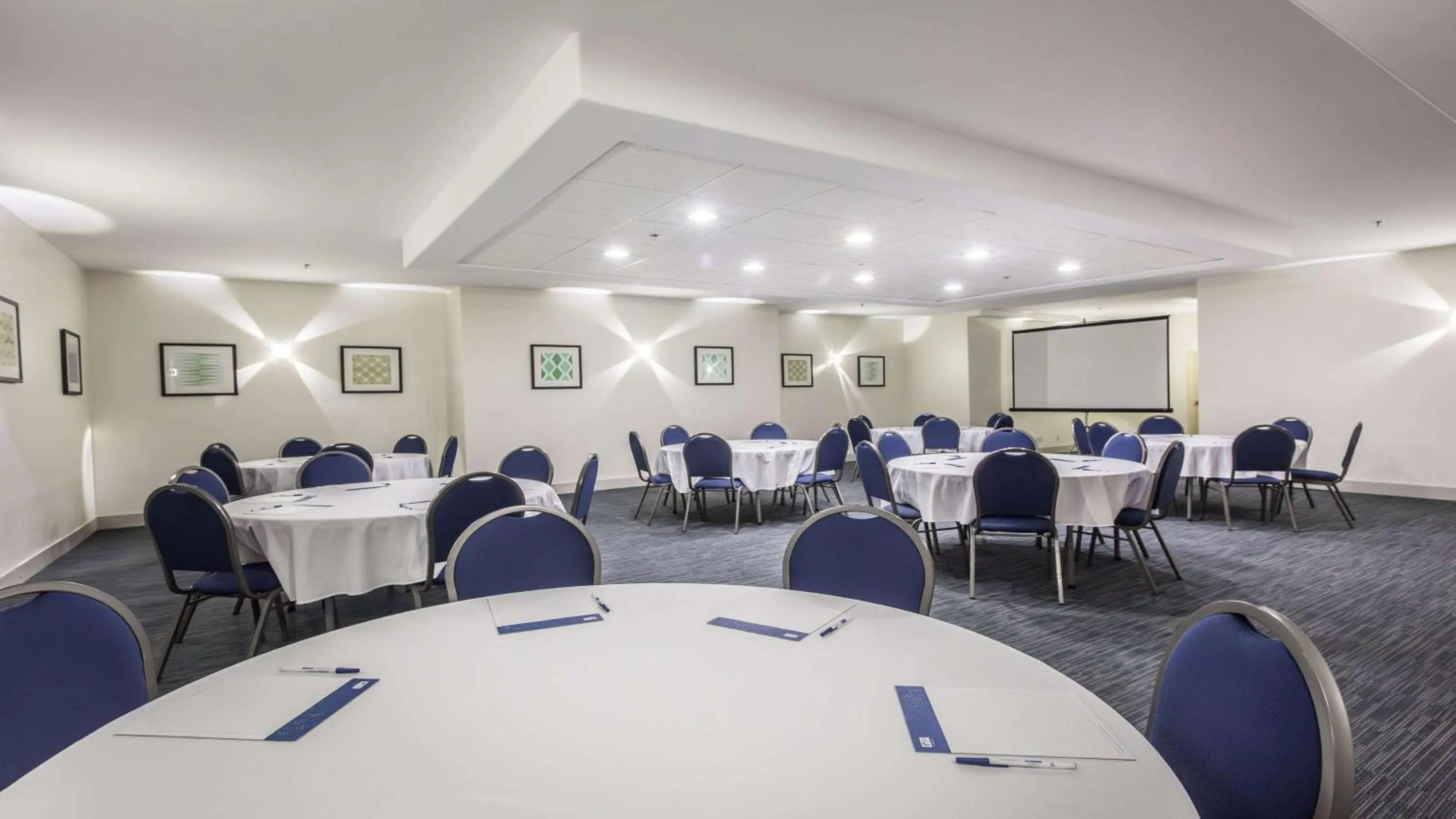 Meeting/conference room in Holiday Inn Express & Suites-Regina-South by IHG