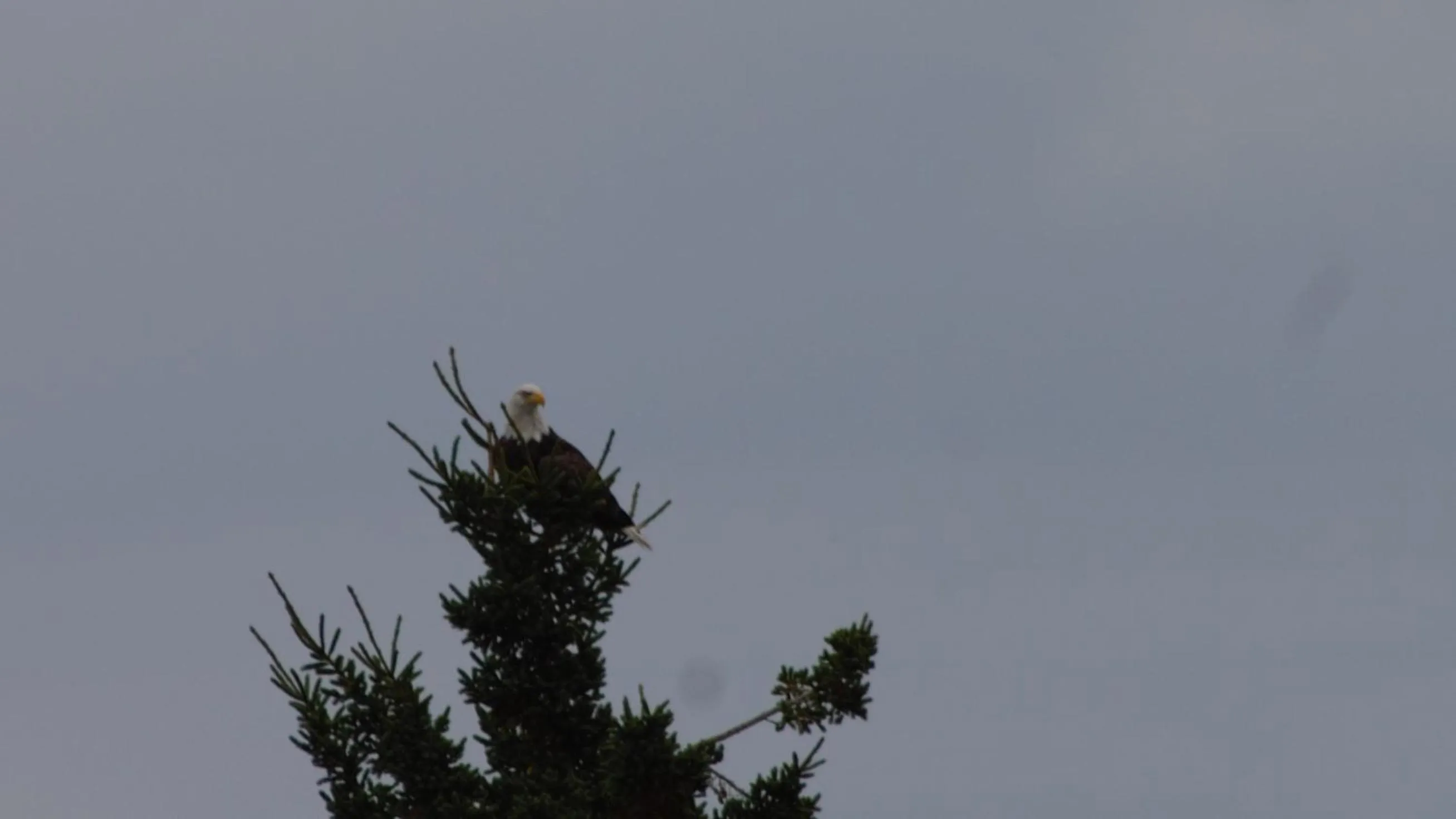 Beach in Cabot Trail Motel