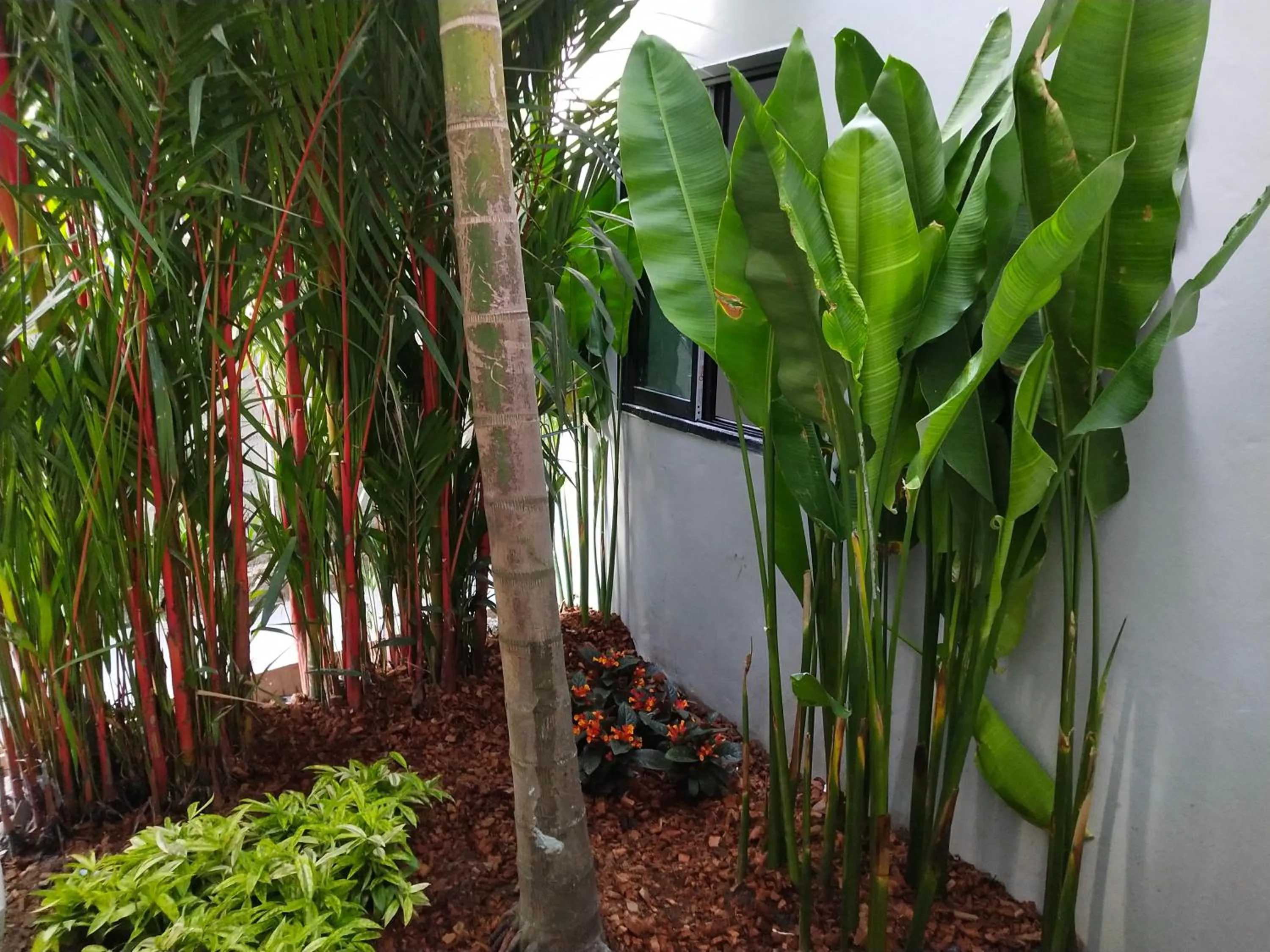 Garden in Hotel De Sripoom