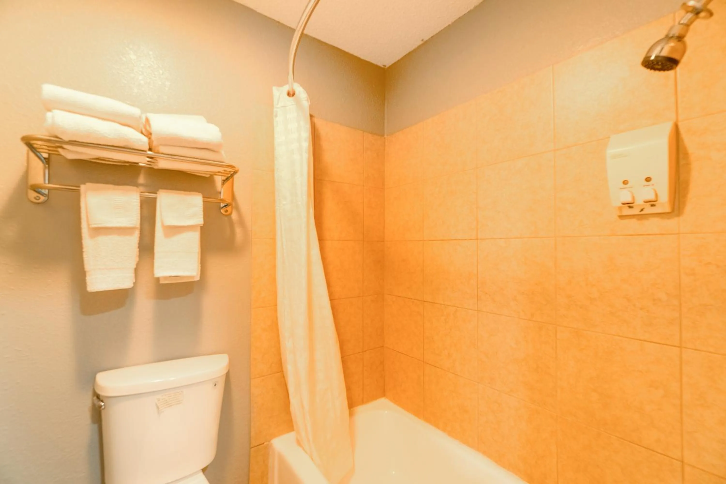 Bathroom in Purple Sage By OYO Snyder TX