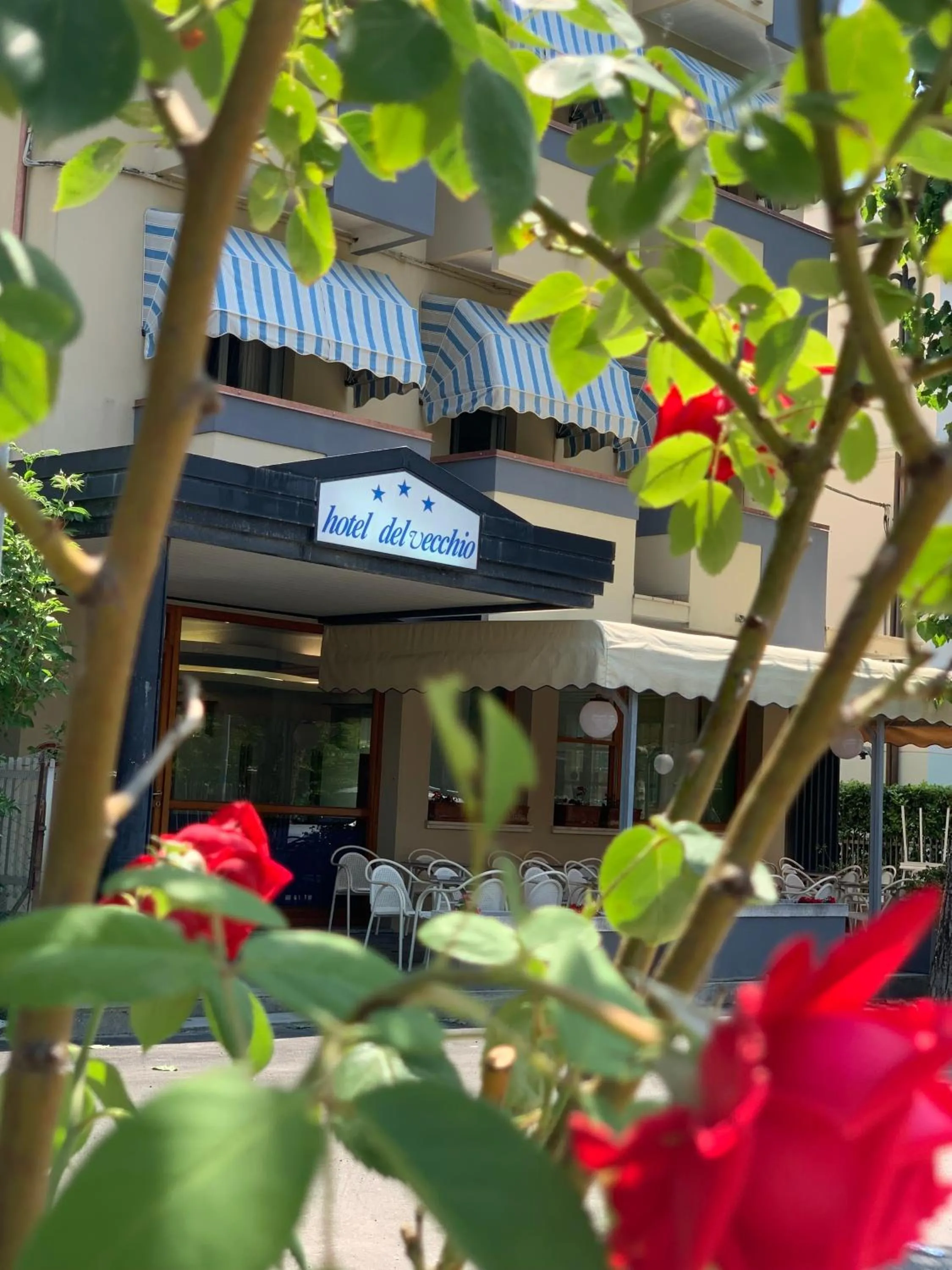 Facade/entrance in Hotel Del Vecchio