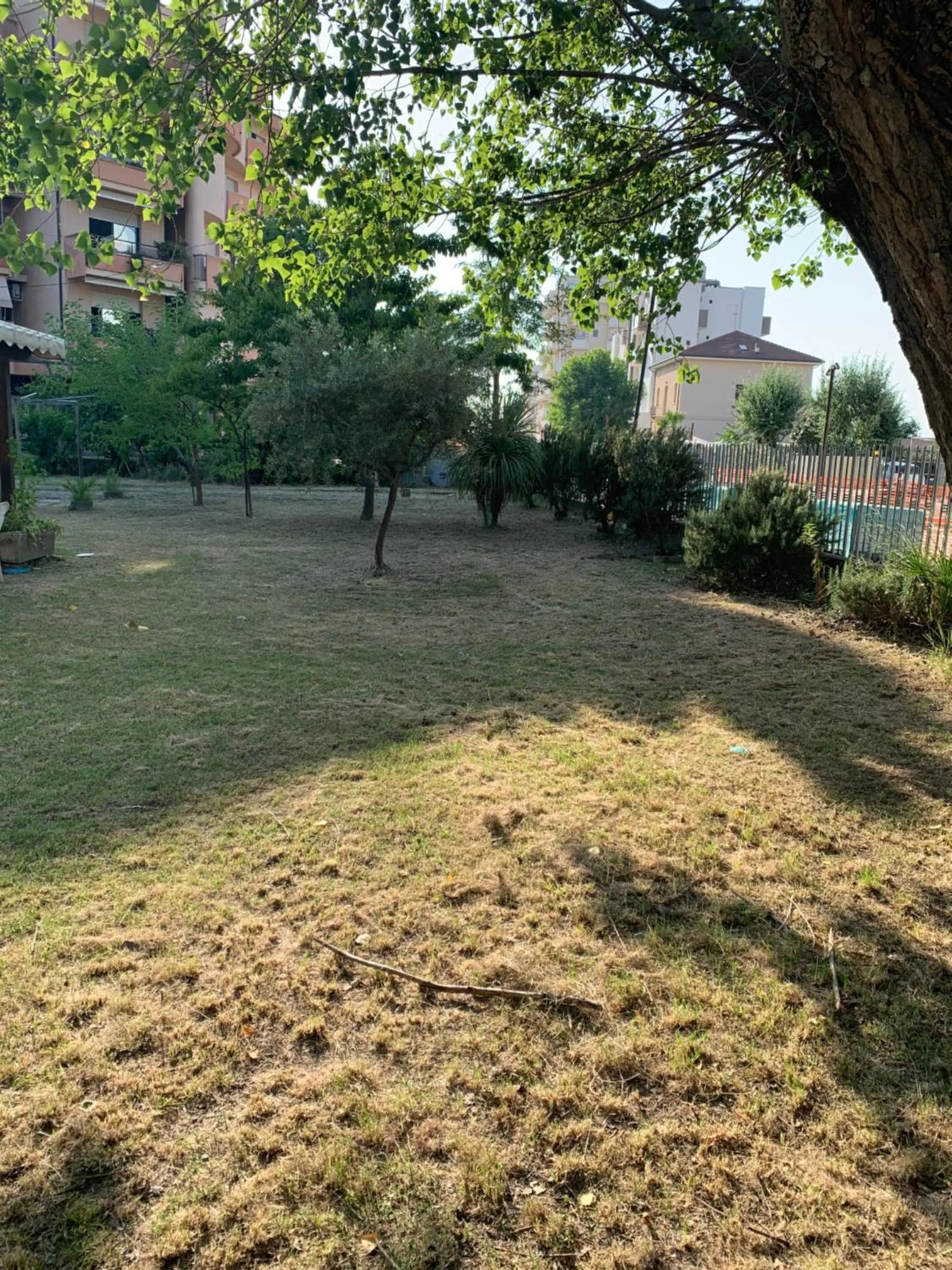 Garden in Hotel Del Vecchio
