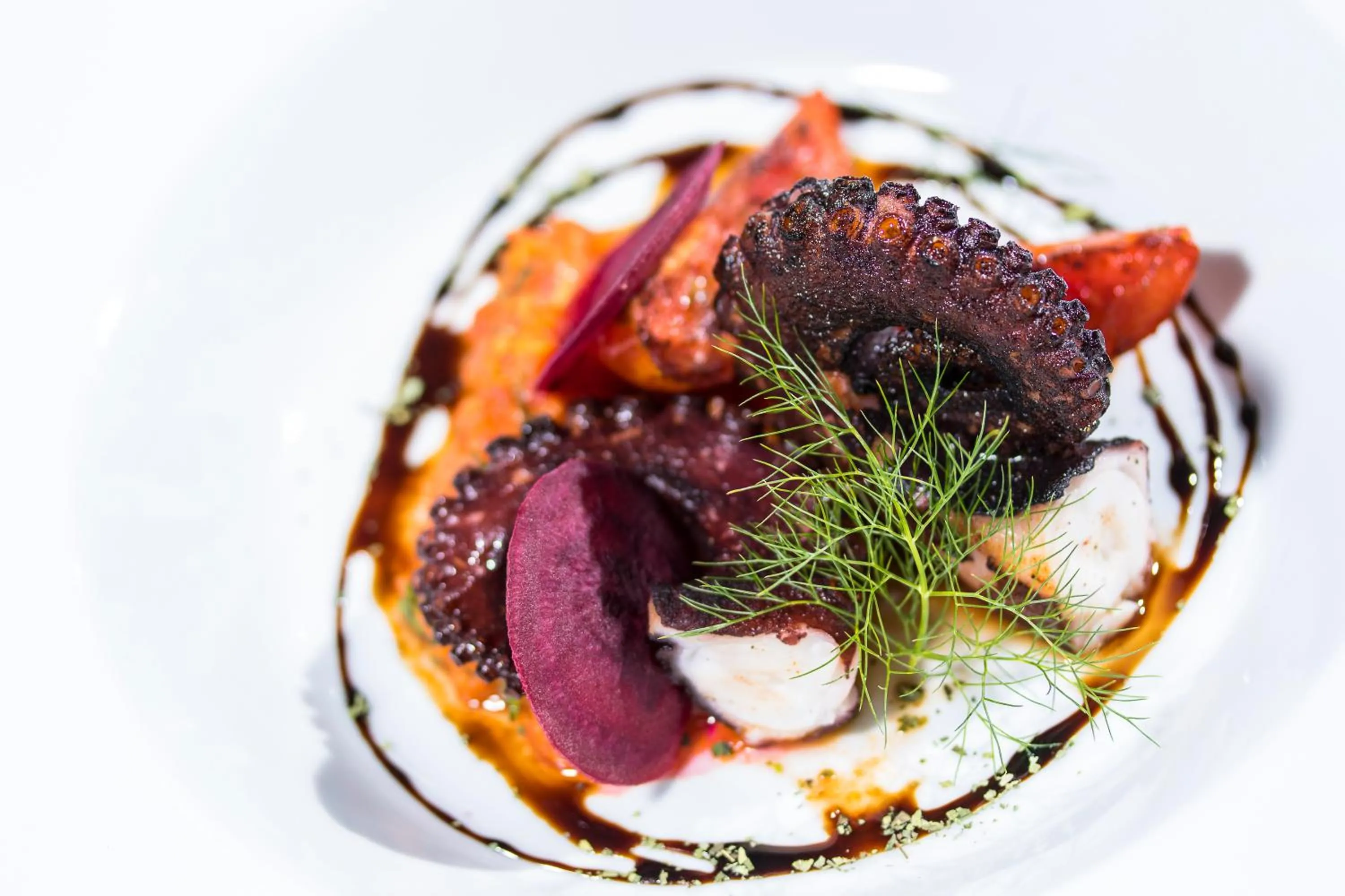 Restaurant/places to eat in Tocuyeros Boutique Hotel