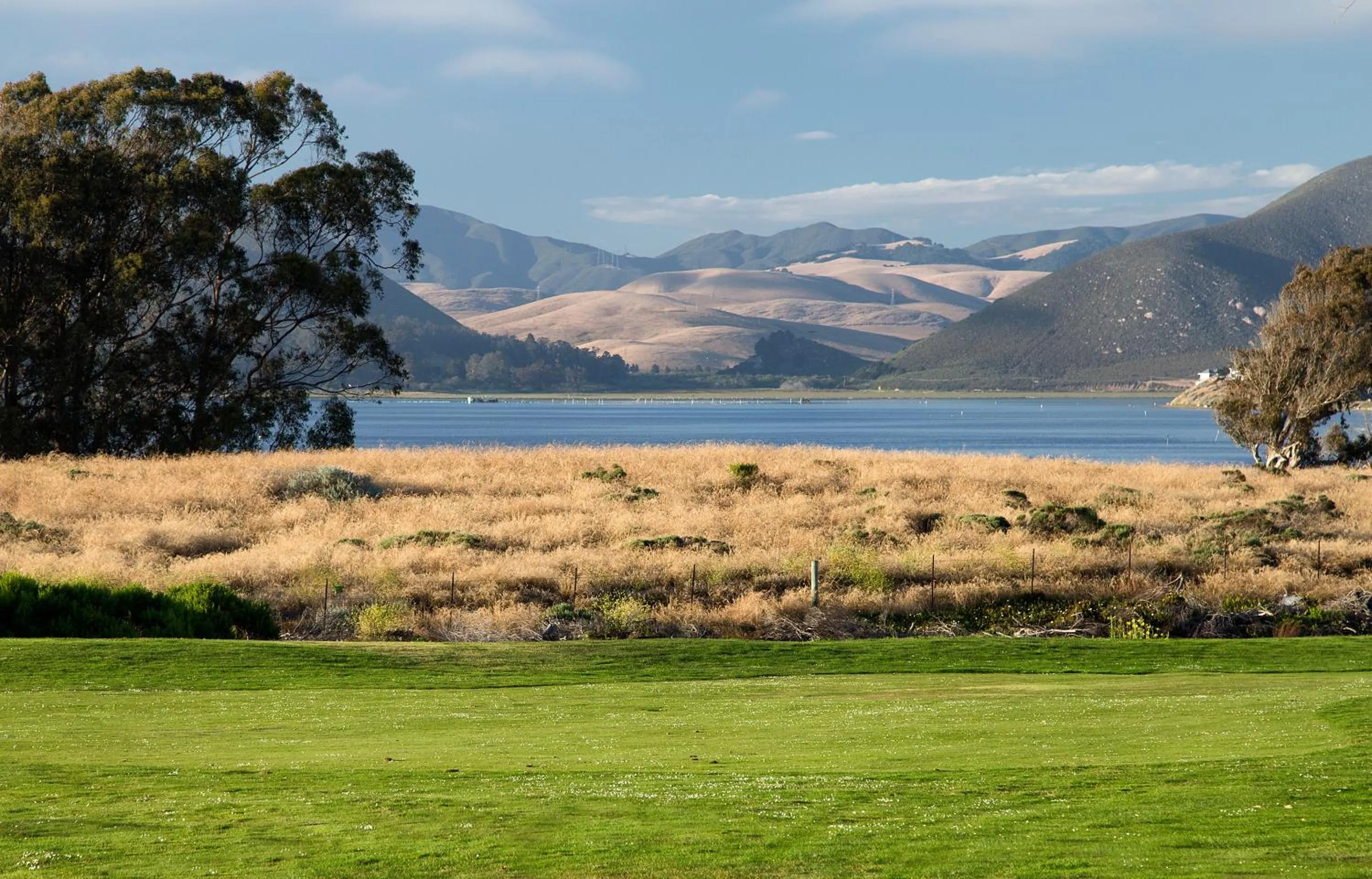 Golfcourse in Sea Pines Golf Resort