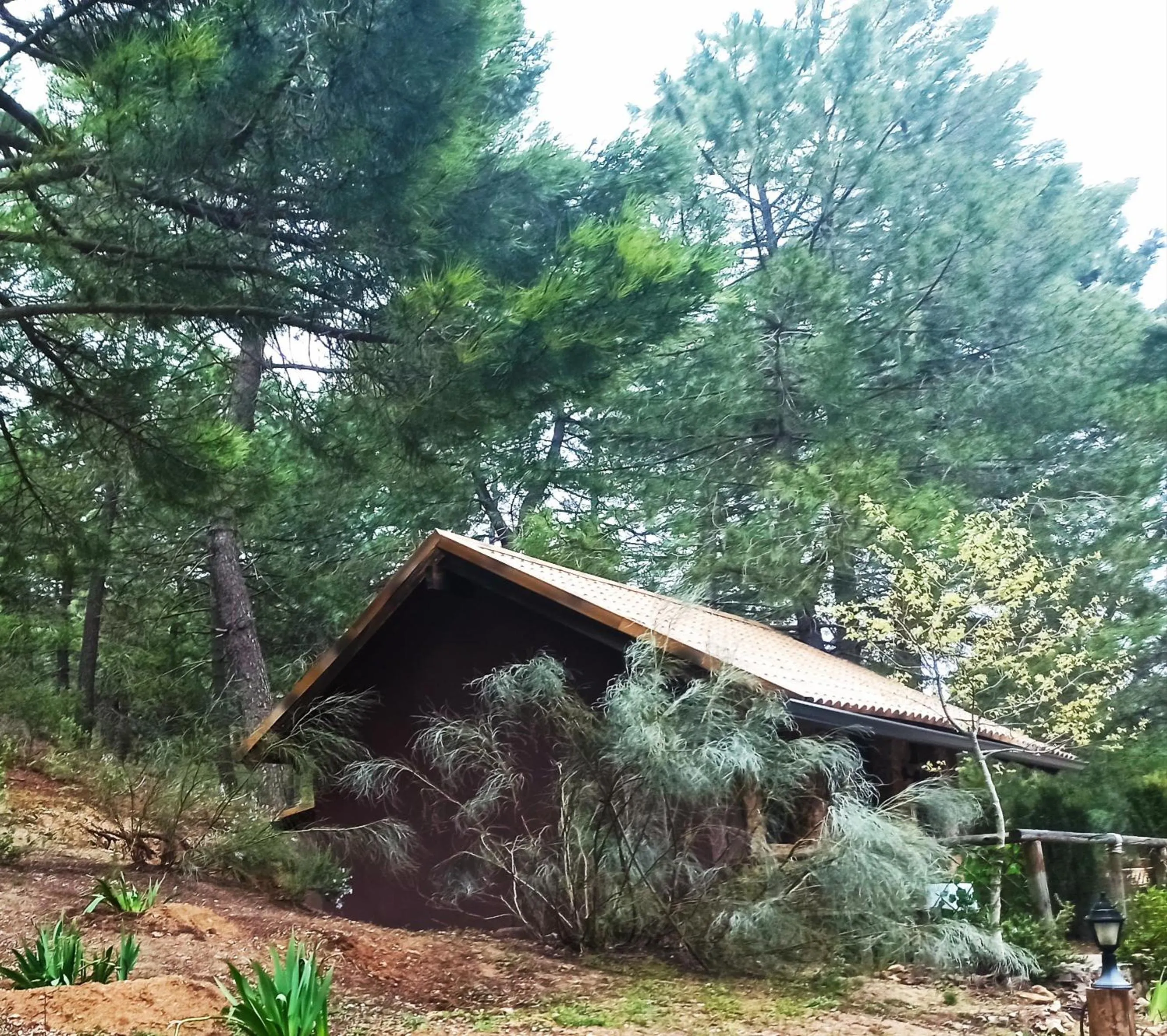 La cabaña del lago en ZAFIRO LAGUNAZO Parque Natural del Río Mundo
