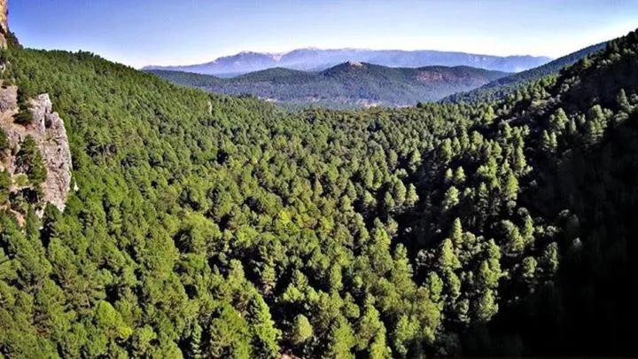 La cabaña del lago en ZAFIRO LAGUNAZO Parque Natural del Río Mundo