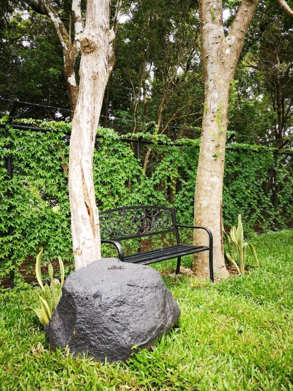 Garden in Calathea Hotel Monteverde