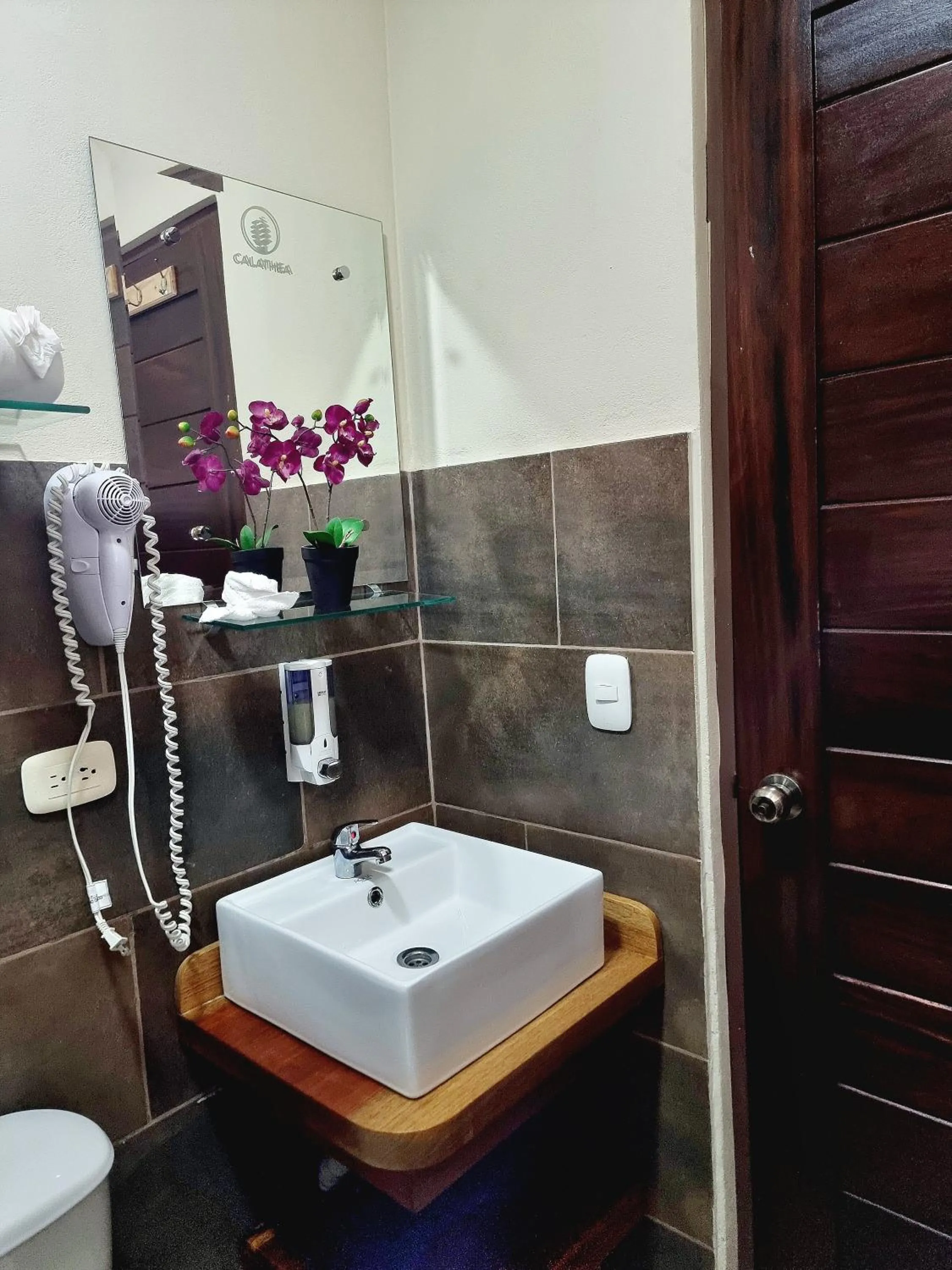 Shower in Calathea Hotel Monteverde