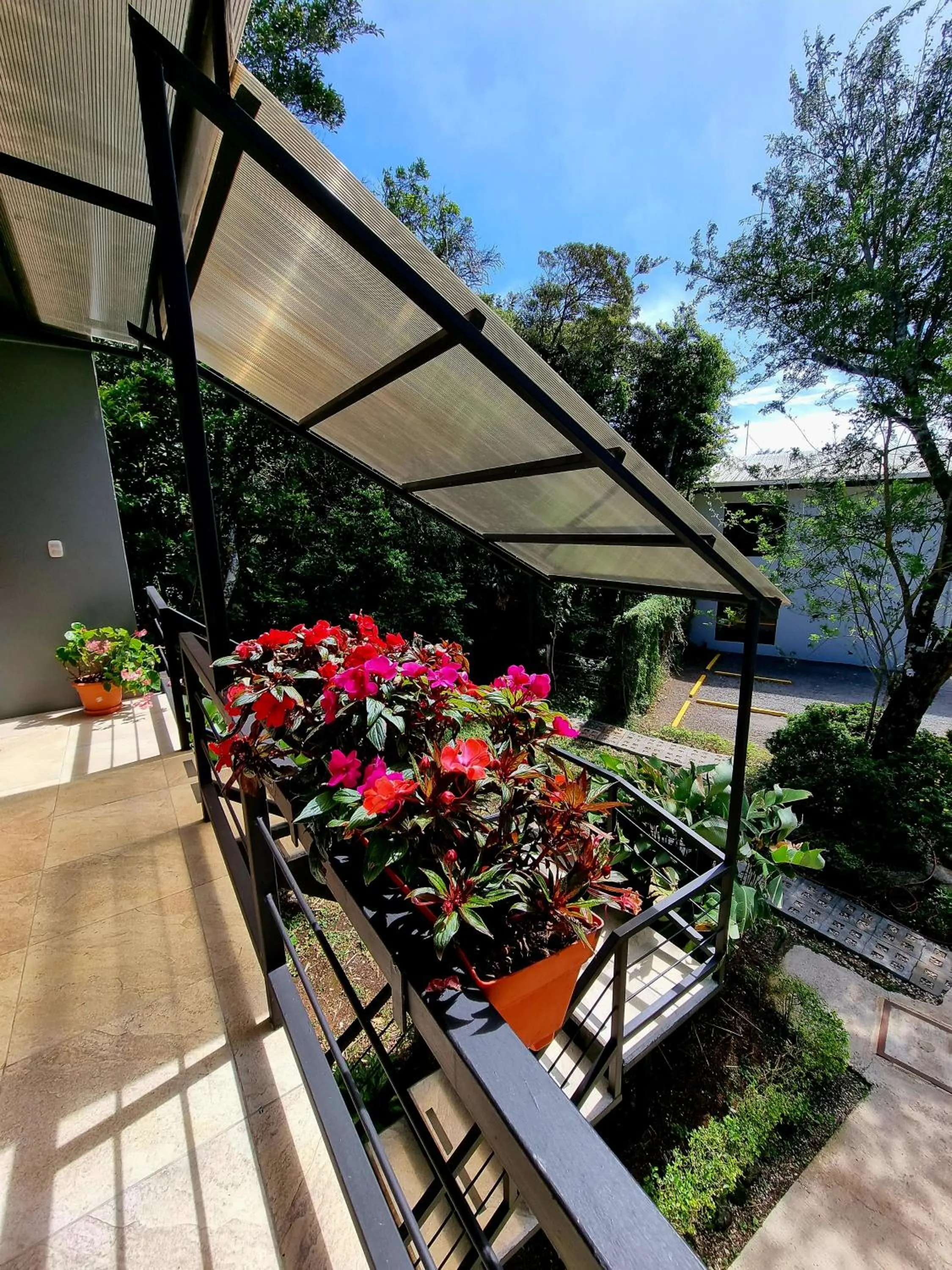 Day in Calathea Hotel Monteverde