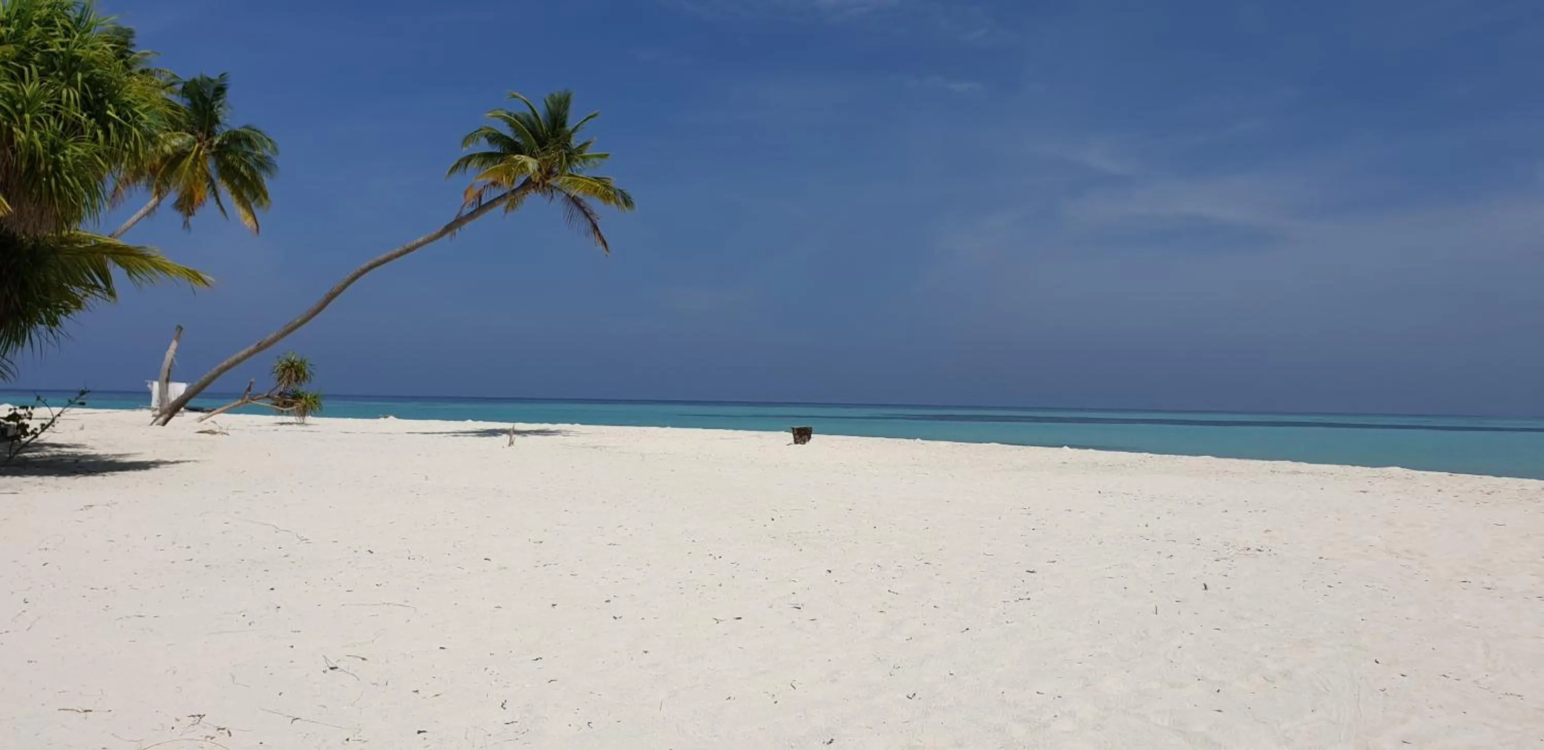 Natural landscape in PERLA Dhangethi