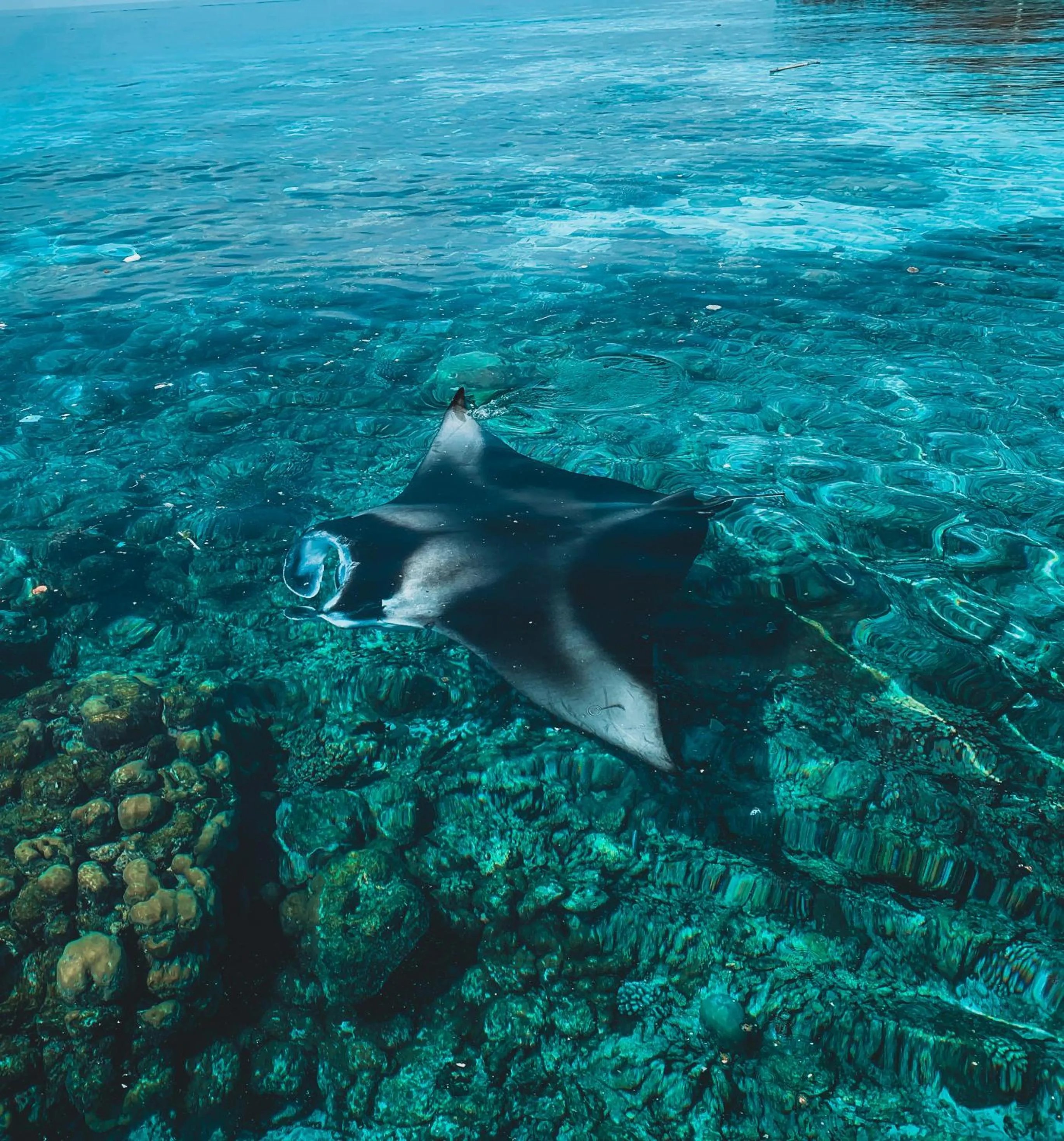 Activities in PERLA Dhangethi