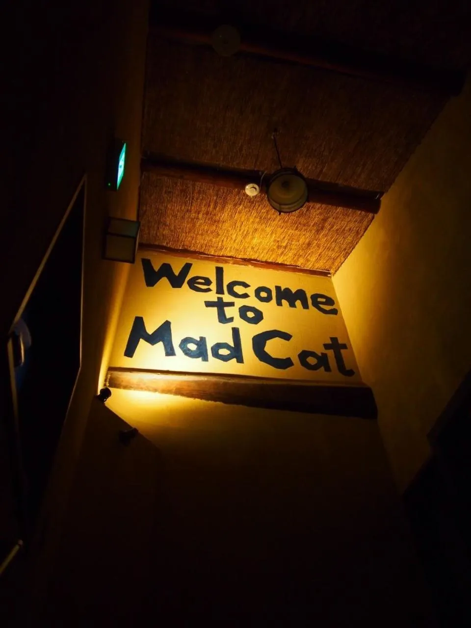 Mad Cat Hostel Osaka & Bar
