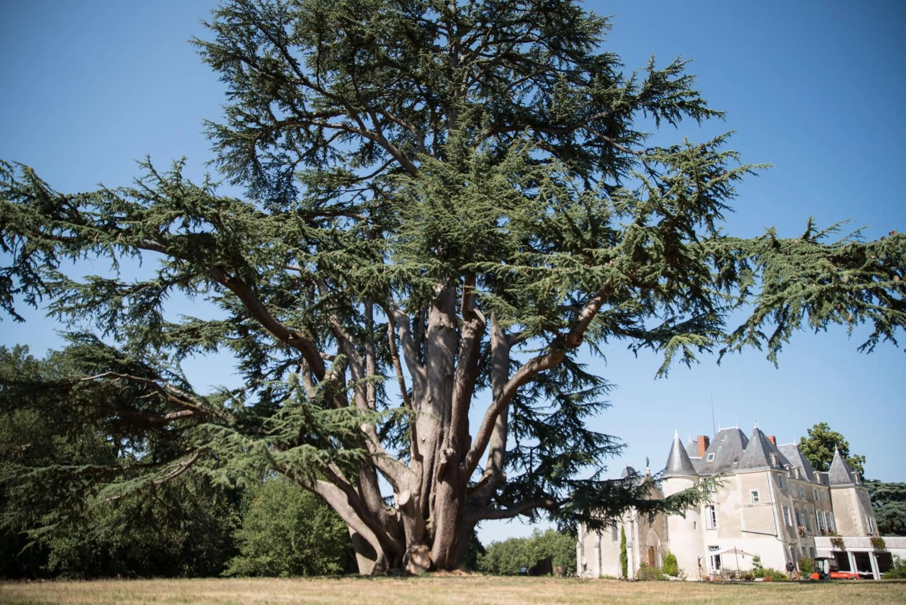 Garden in Château de Piolant