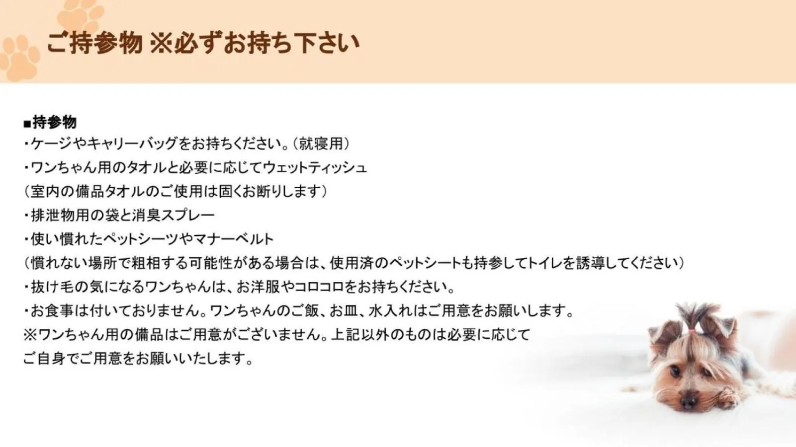 pet friendly in The road to Mt.Fuji