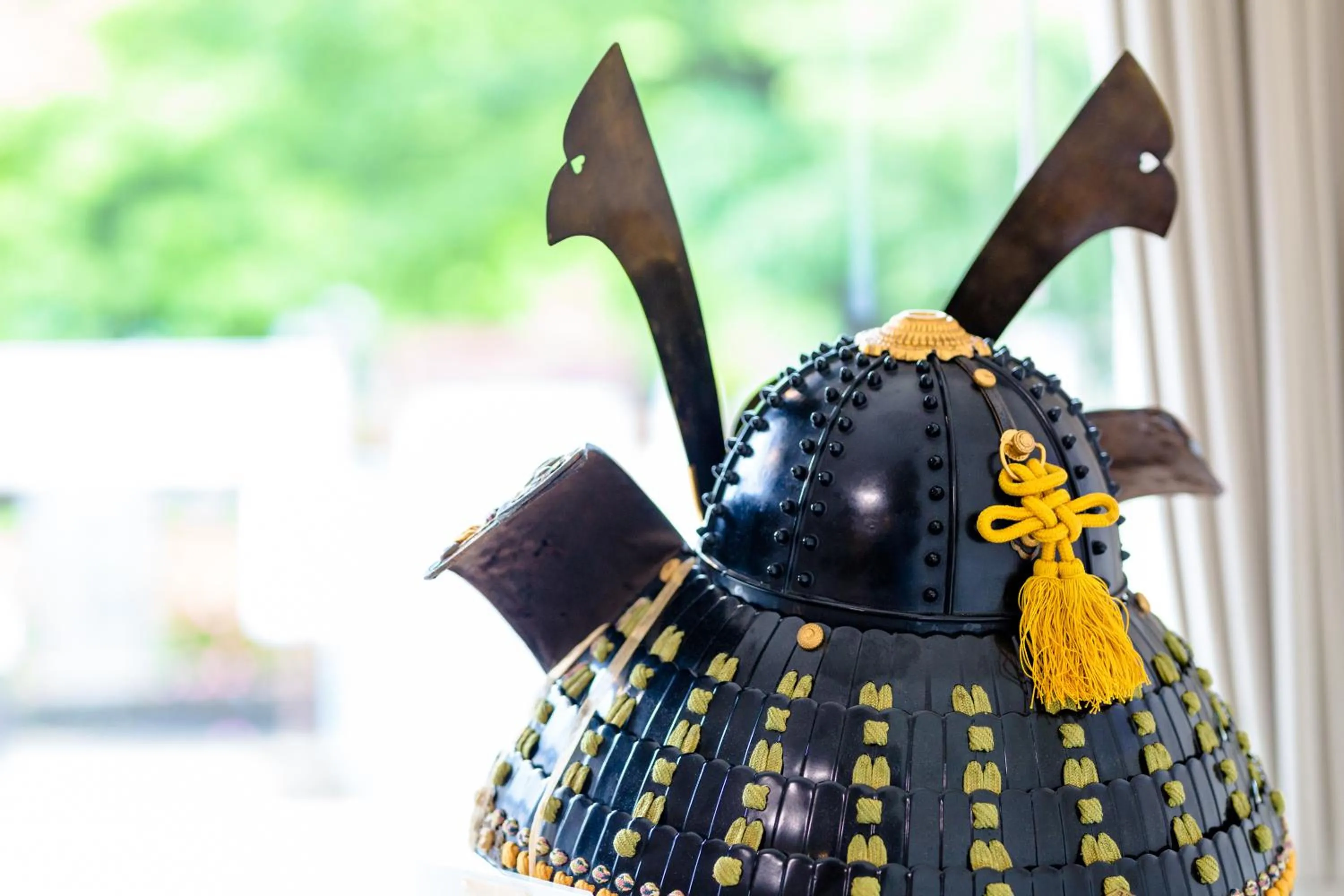 Living room in The road to Mt.Fuji