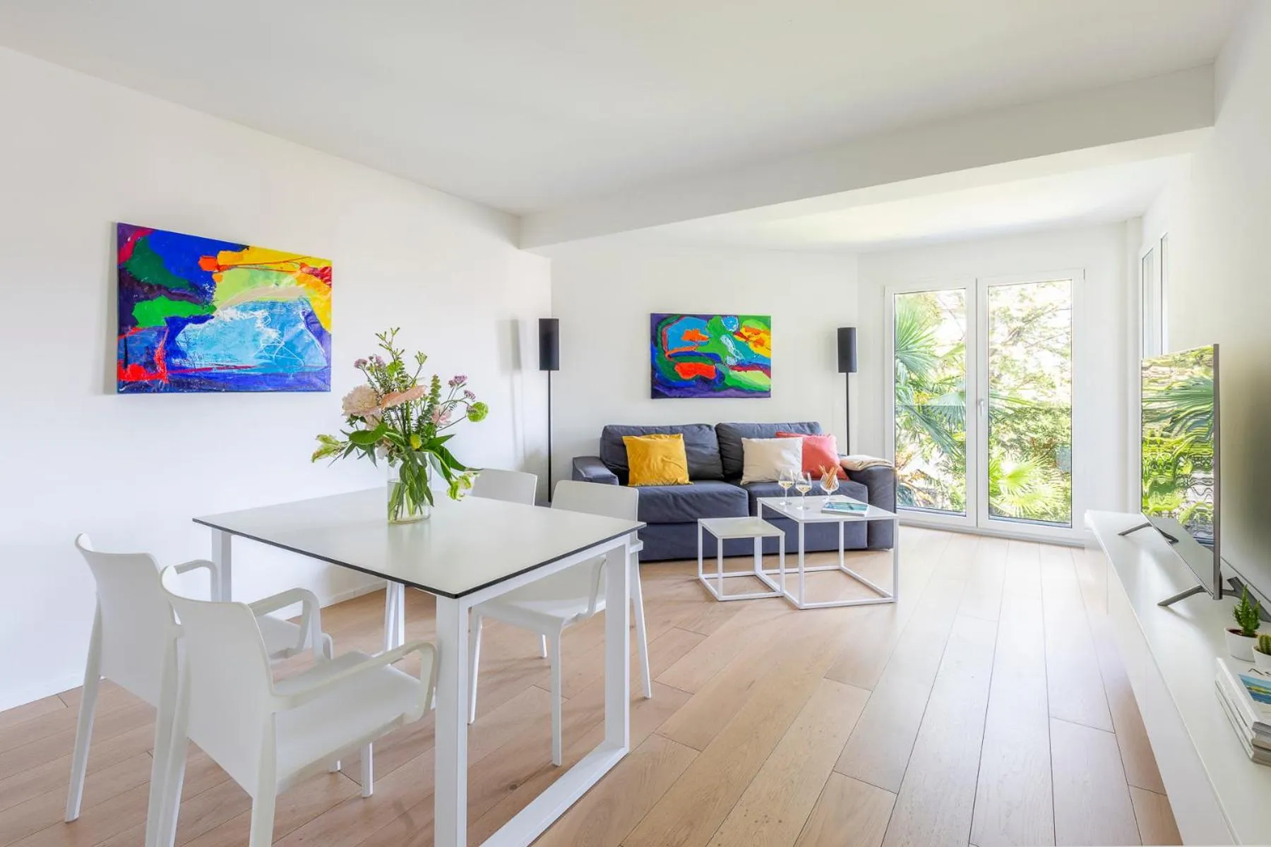 TV and multimedia in Sasso Boretto, Luxury Holiday Apartments