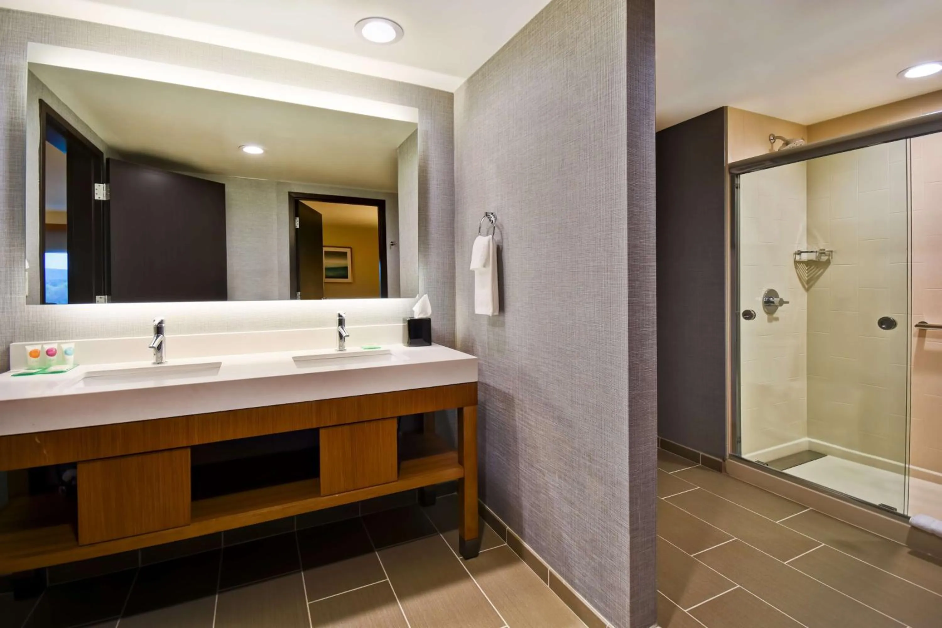 Bathroom in Hyatt Place Huntsville - Research Park - Redstone