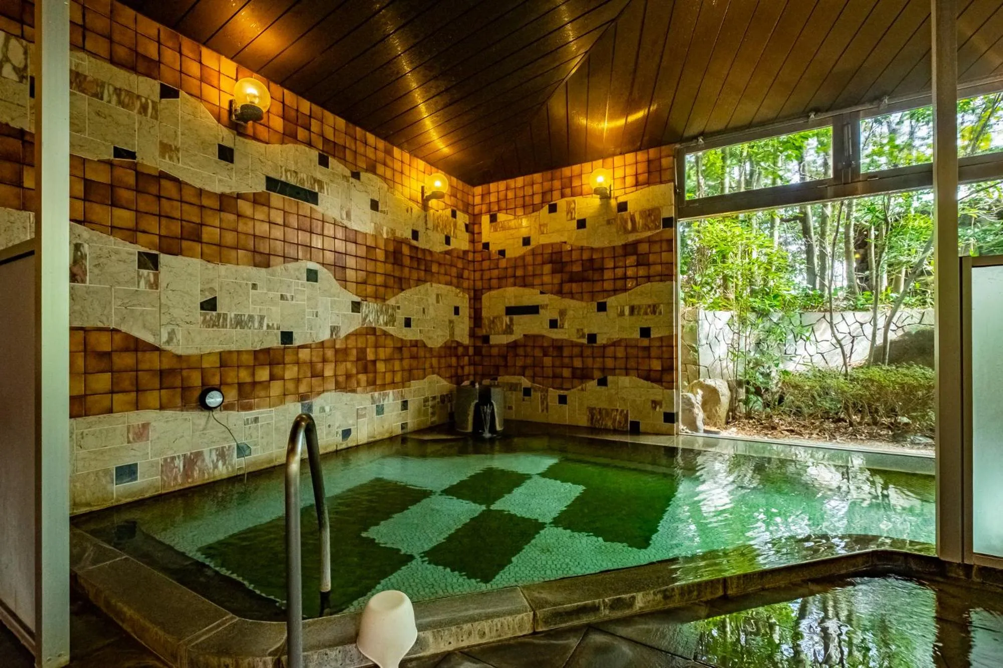 Spa and wellness centre/facilities in Pet & Spa Hotel Izukogen