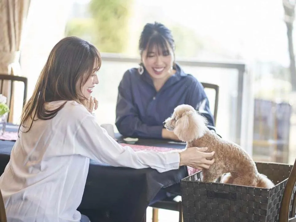 Restaurant/places to eat in Pet & Spa Hotel Izukogen