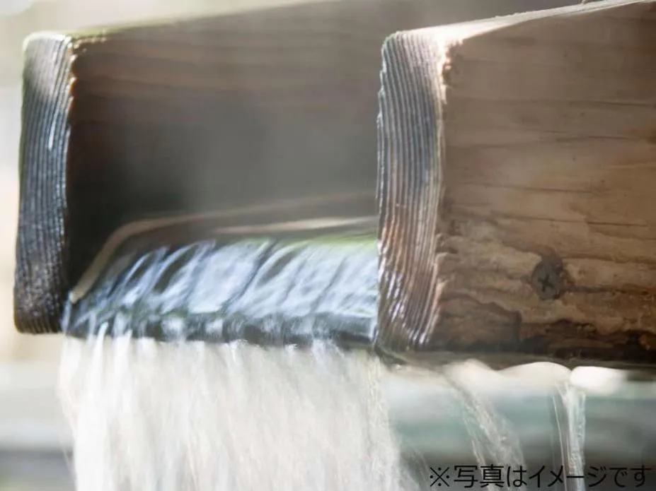 Pet & Spa Hotel Izukogen