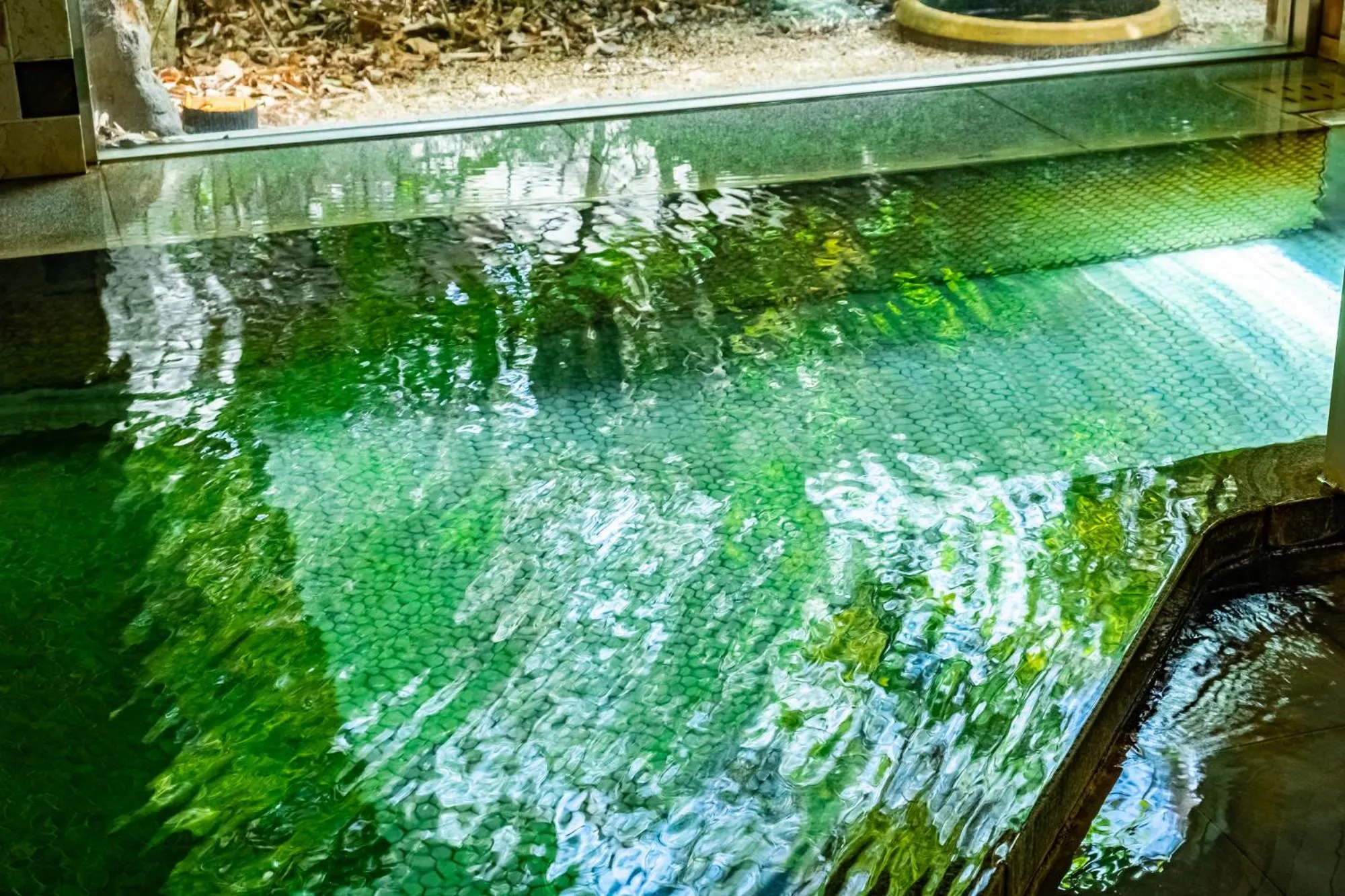 Spa and wellness centre/facilities in Pet & Spa Hotel Izukogen