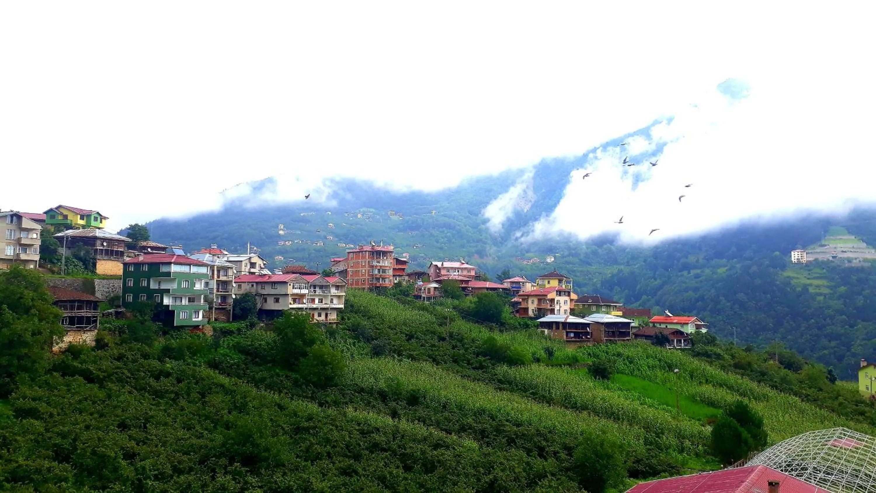 Neighbourhood in Erdem Apart Otel