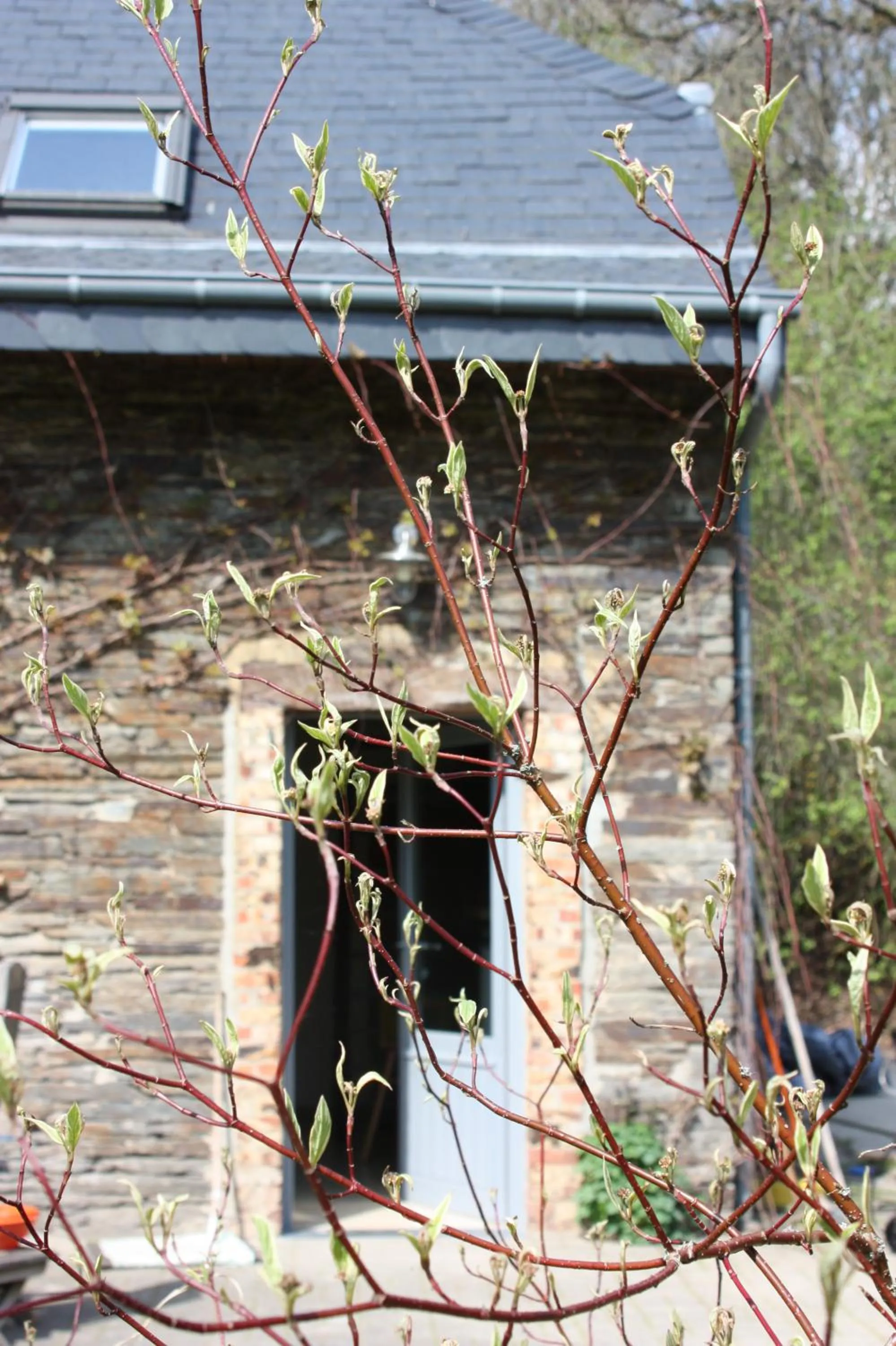 Bedroom in Le Repere du Cerf