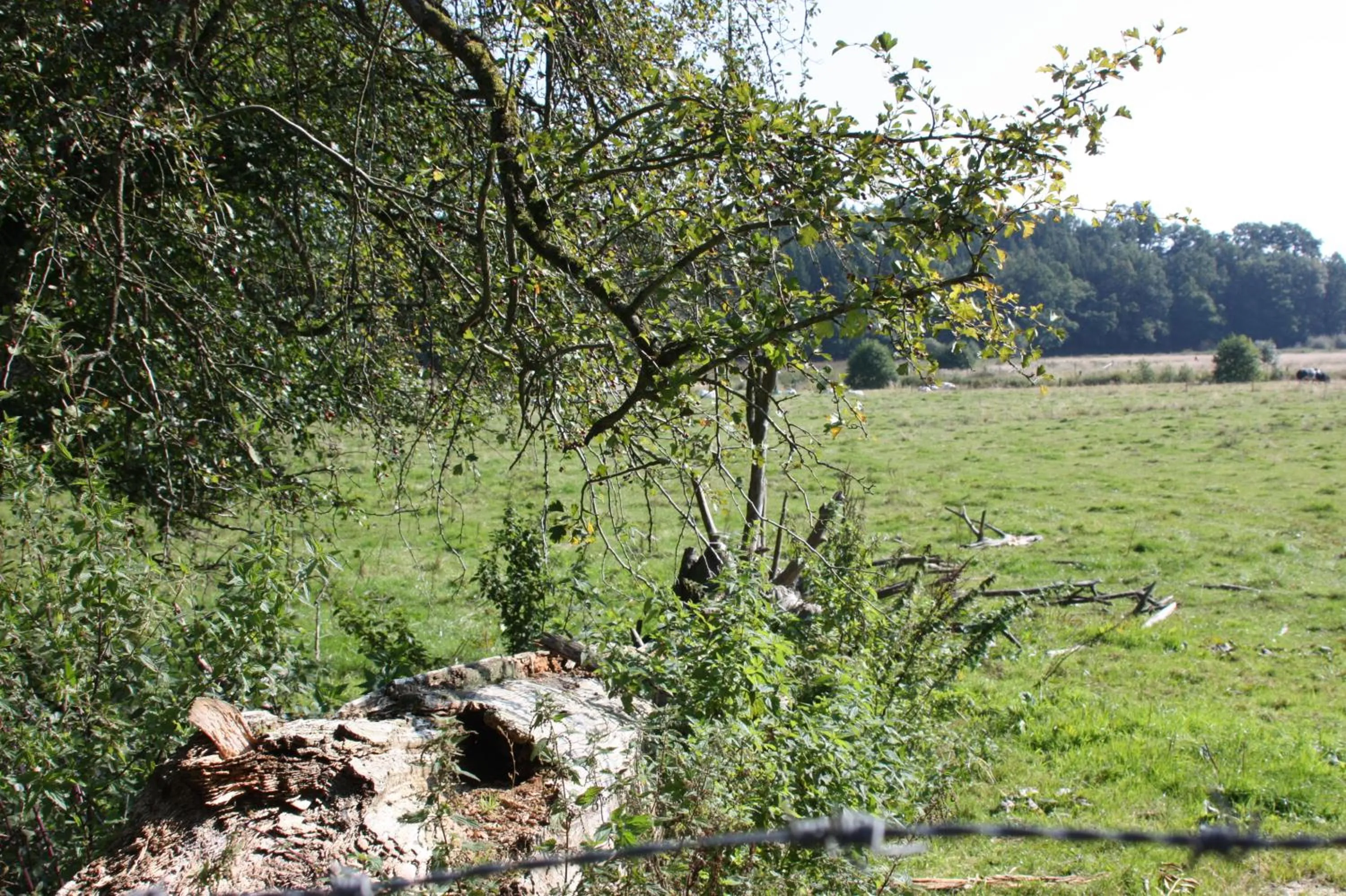 Bedroom in Le Repere du Cerf