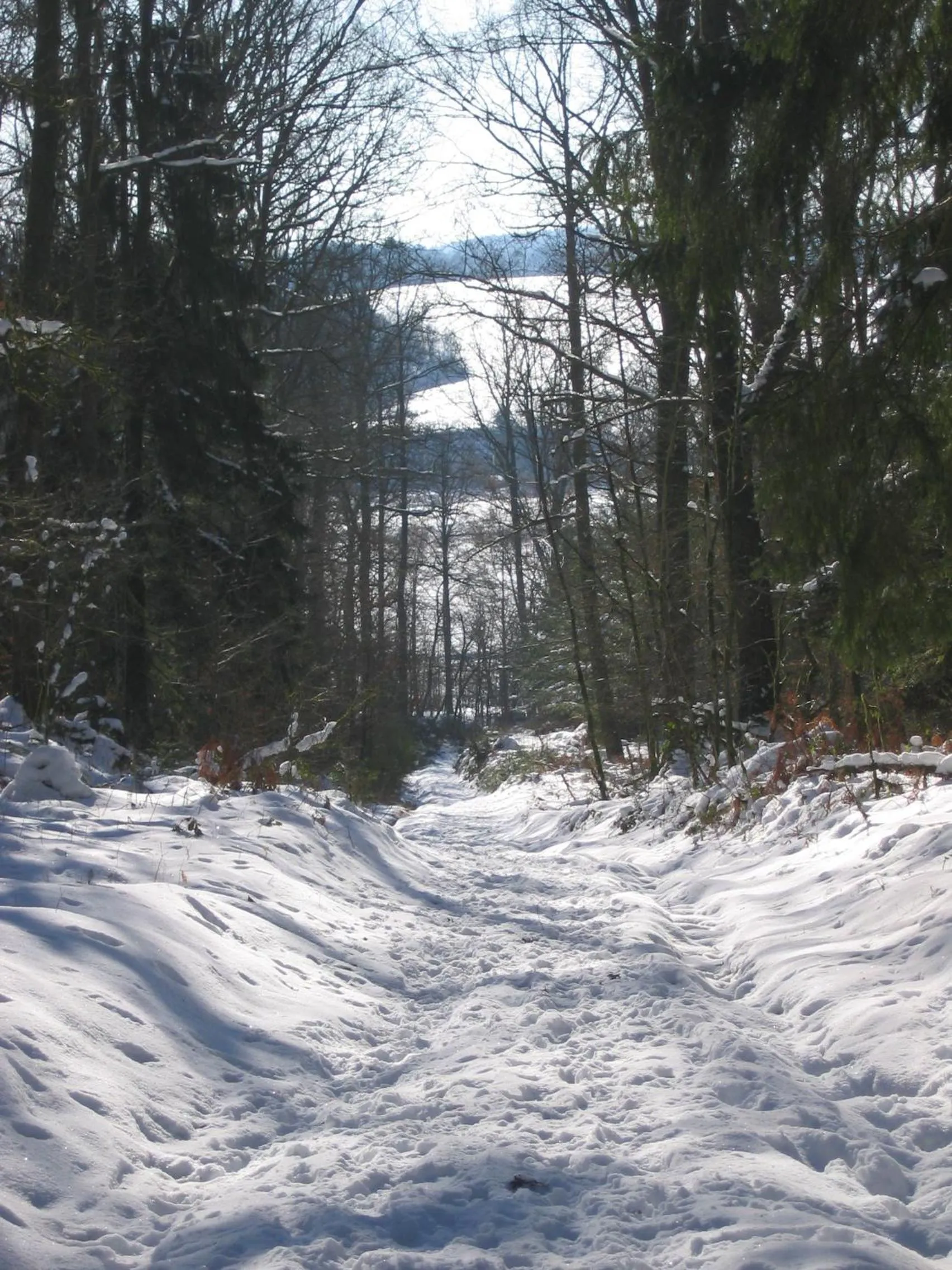 Bedroom in Le Repere du Cerf