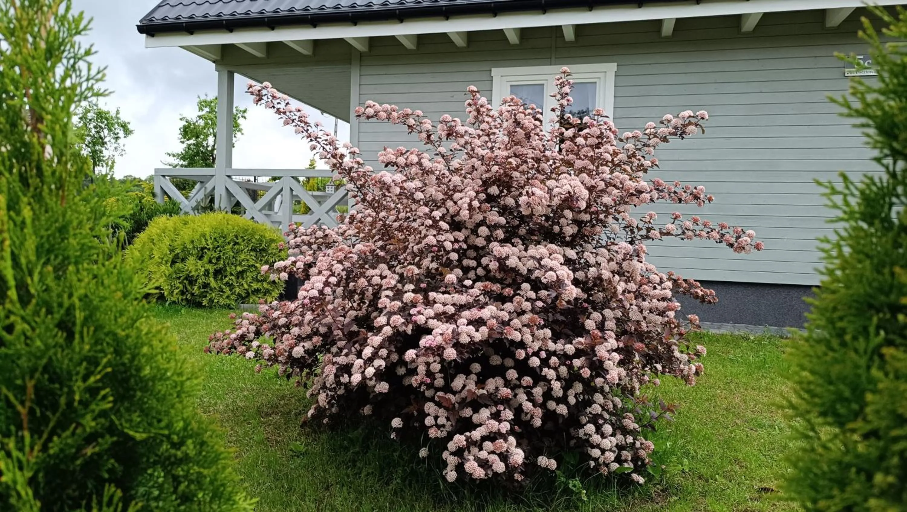 Szary domek nad jeziorem