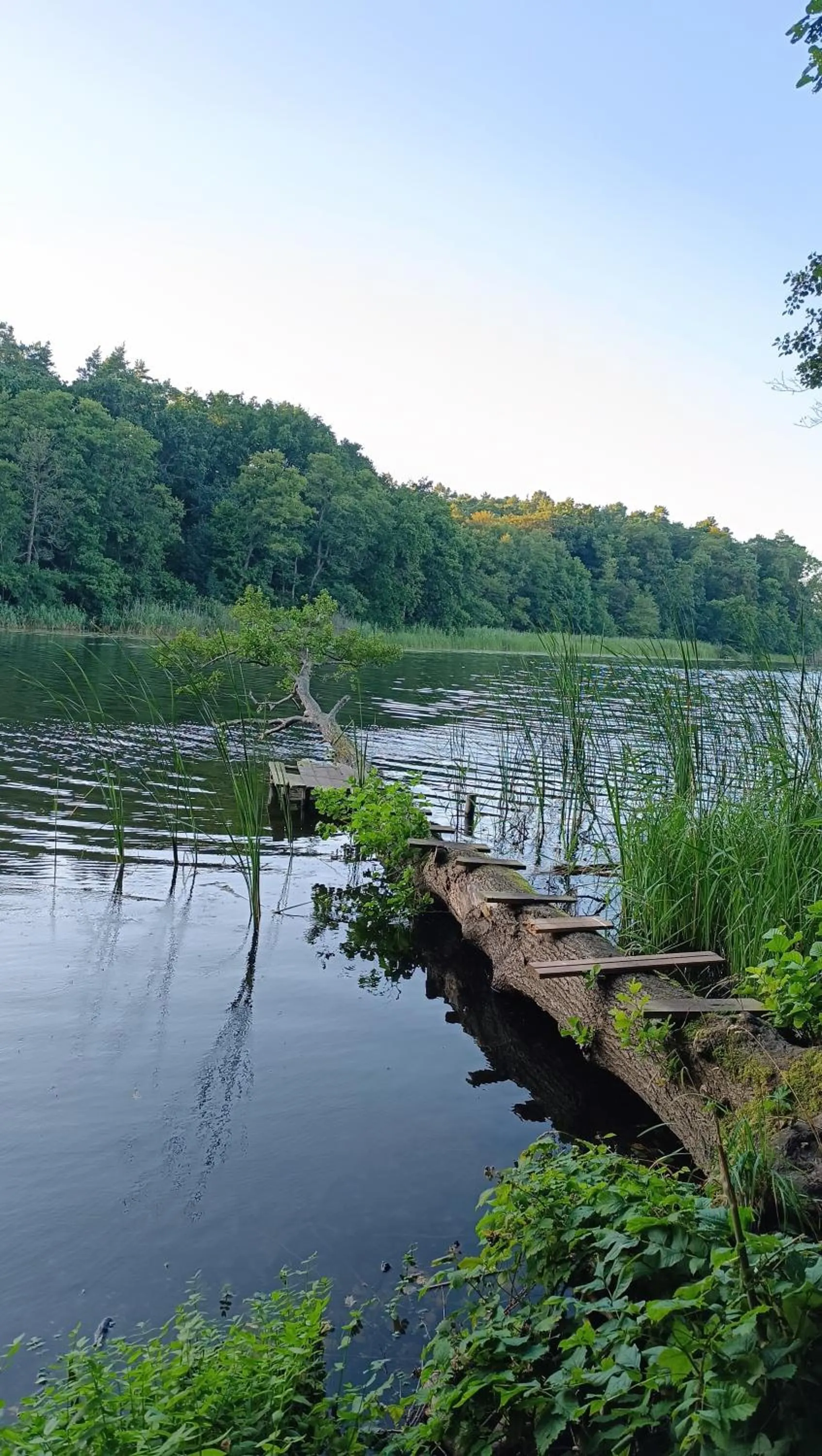 Szary domek nad jeziorem