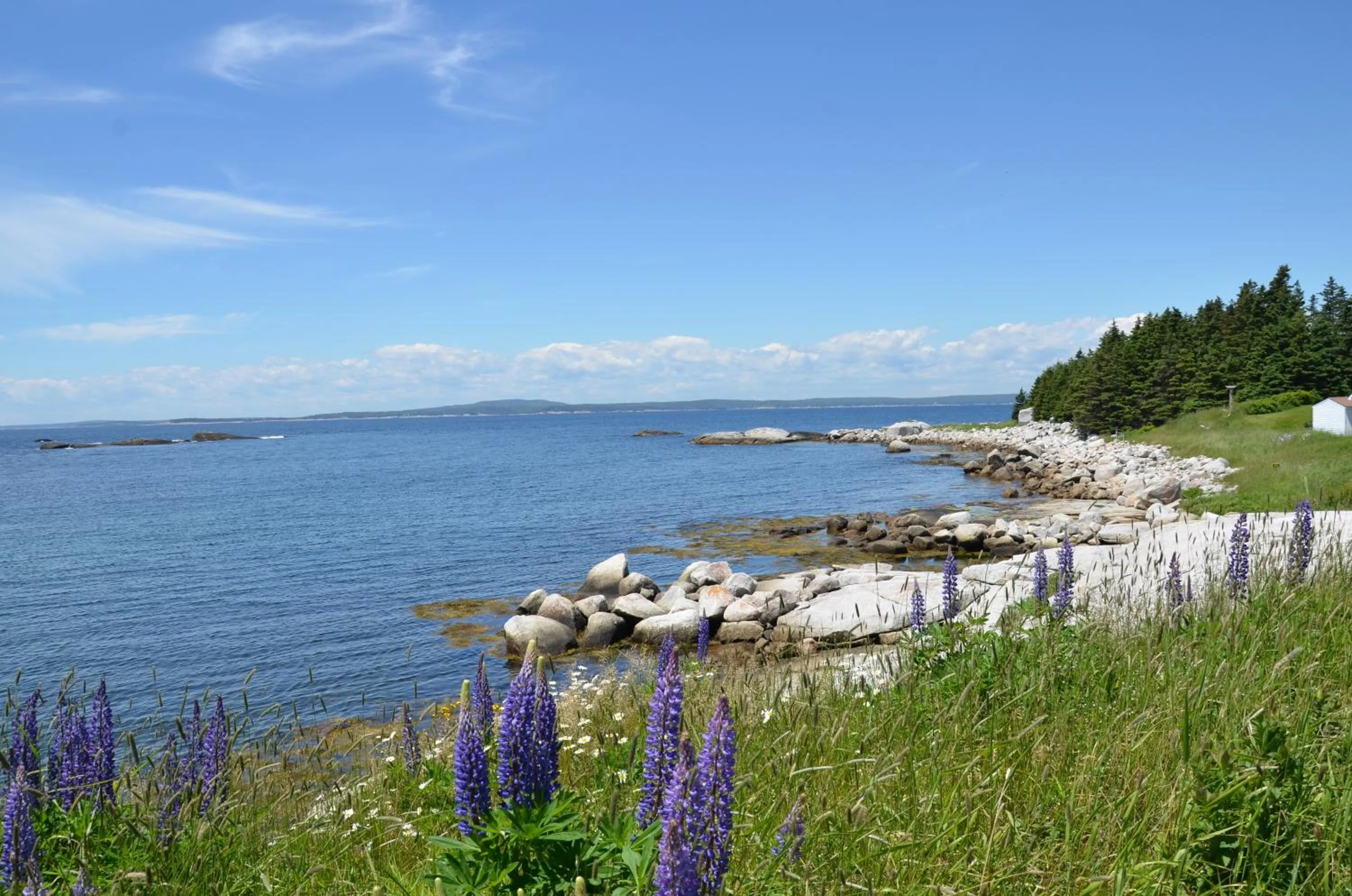 Natural landscape in Clifty Cove Motel