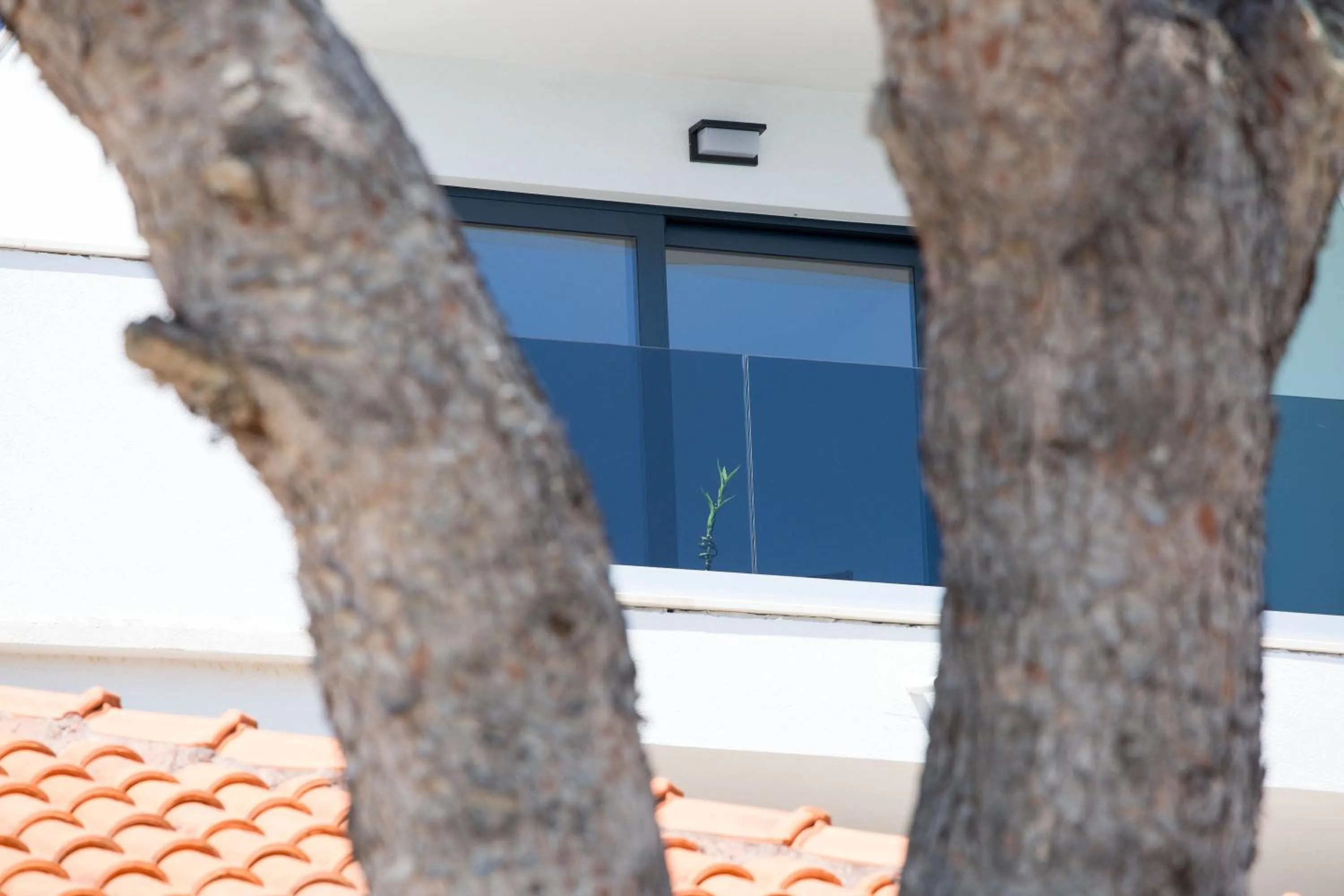 Property building in Hotel Paradise Punta