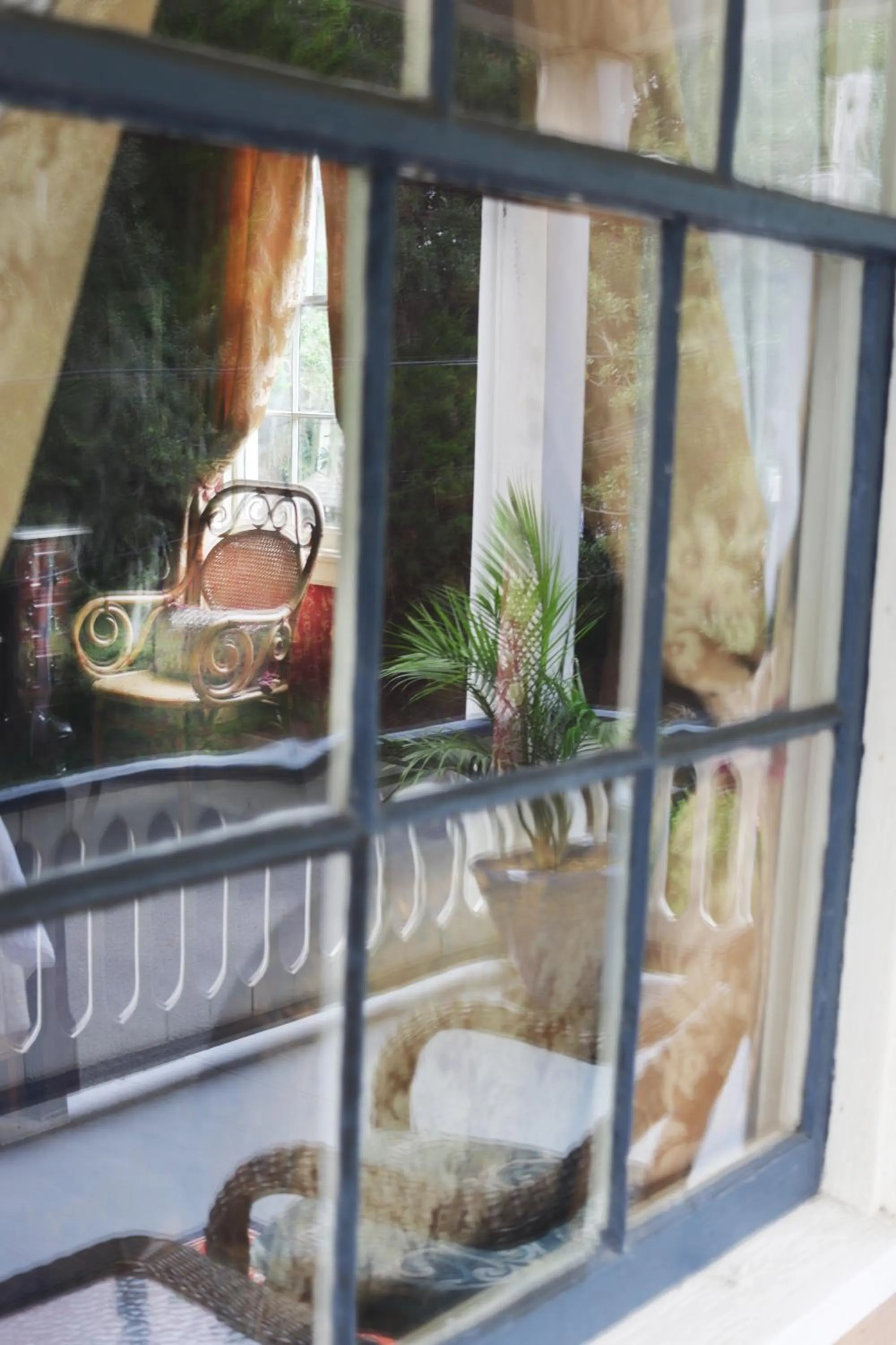 Amelia Island Williams House