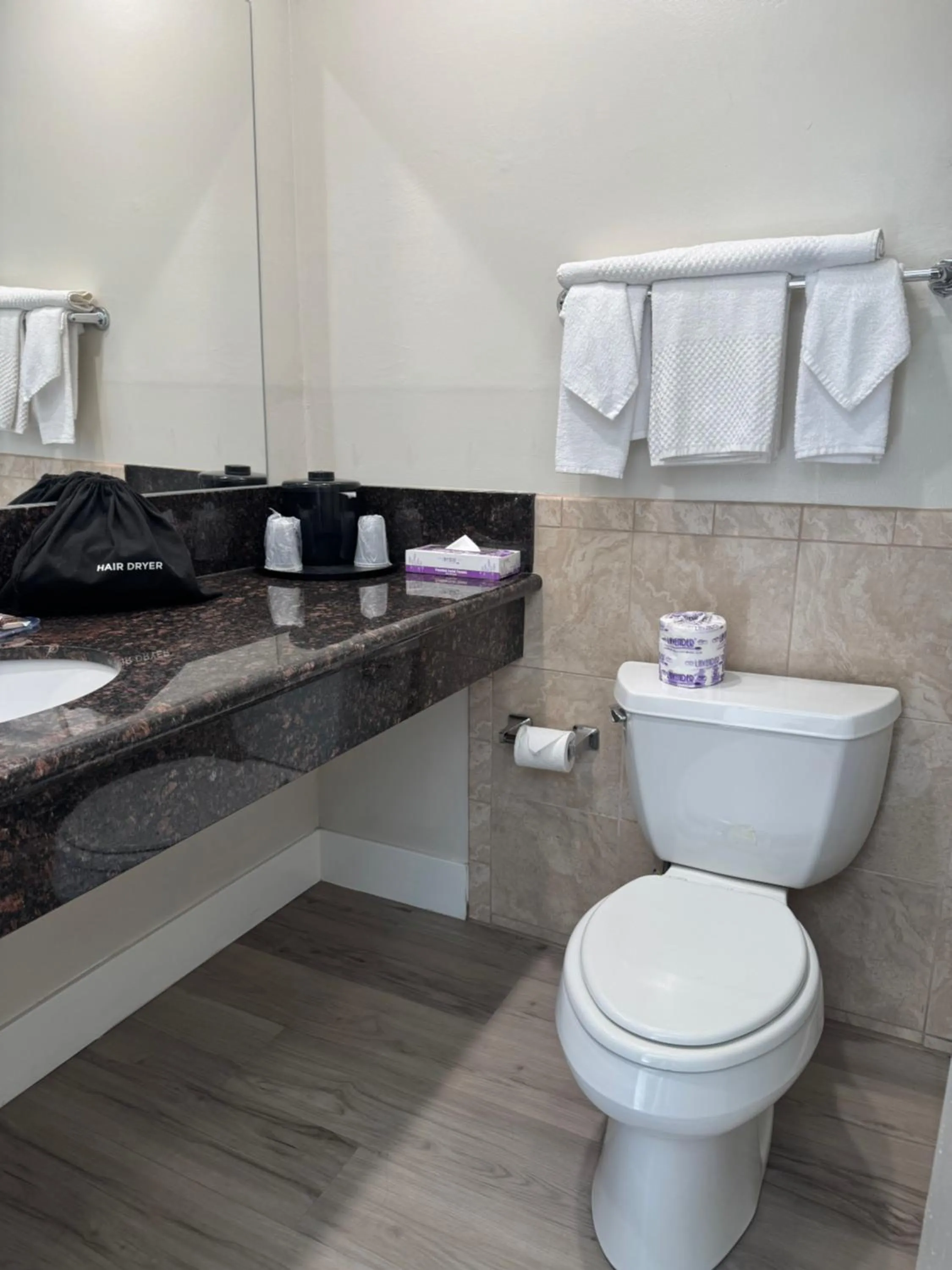 Bathroom in Econo Lodge Lake Elsinore Casino