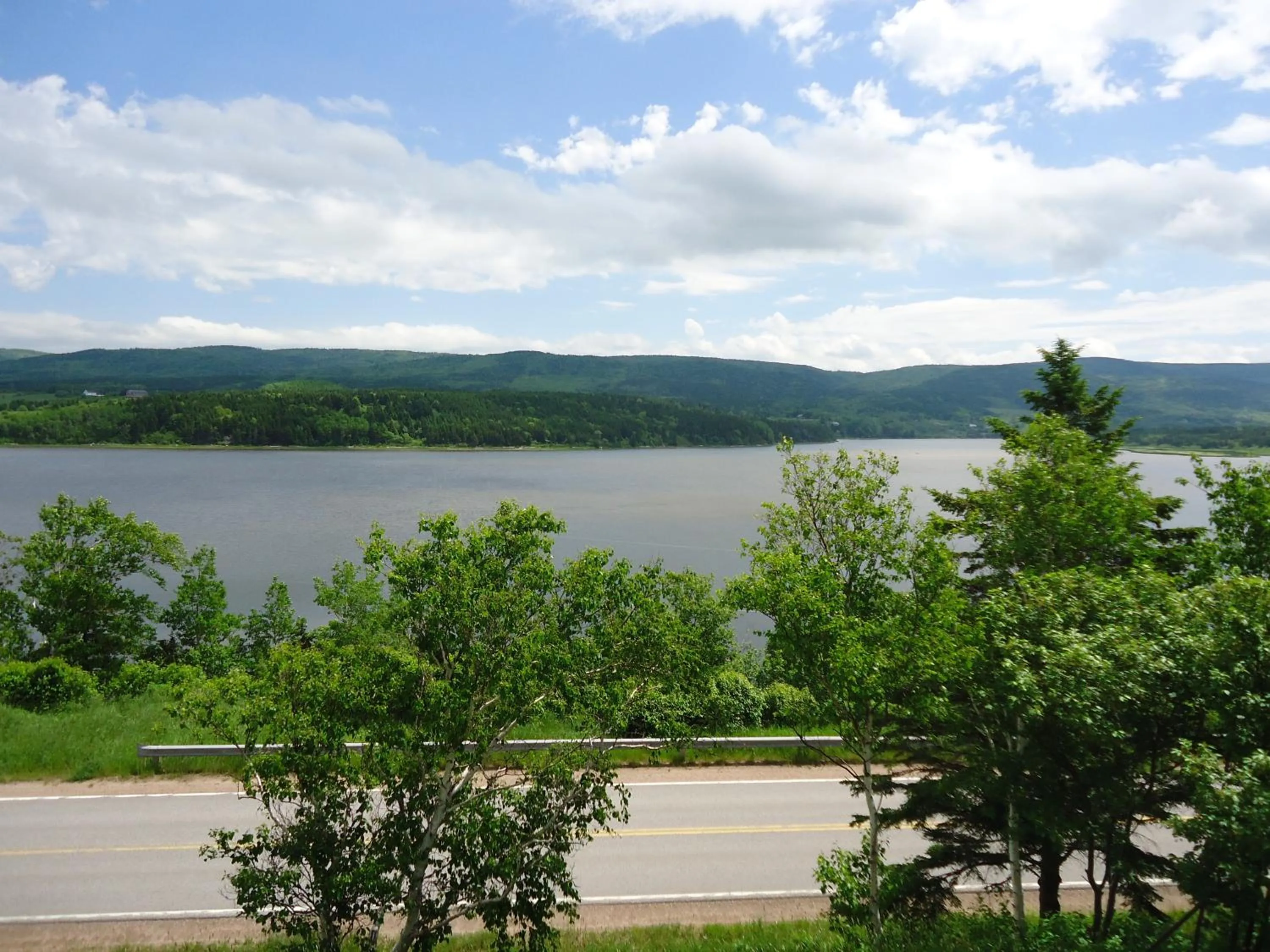Natural landscape in Duck Cove Inn