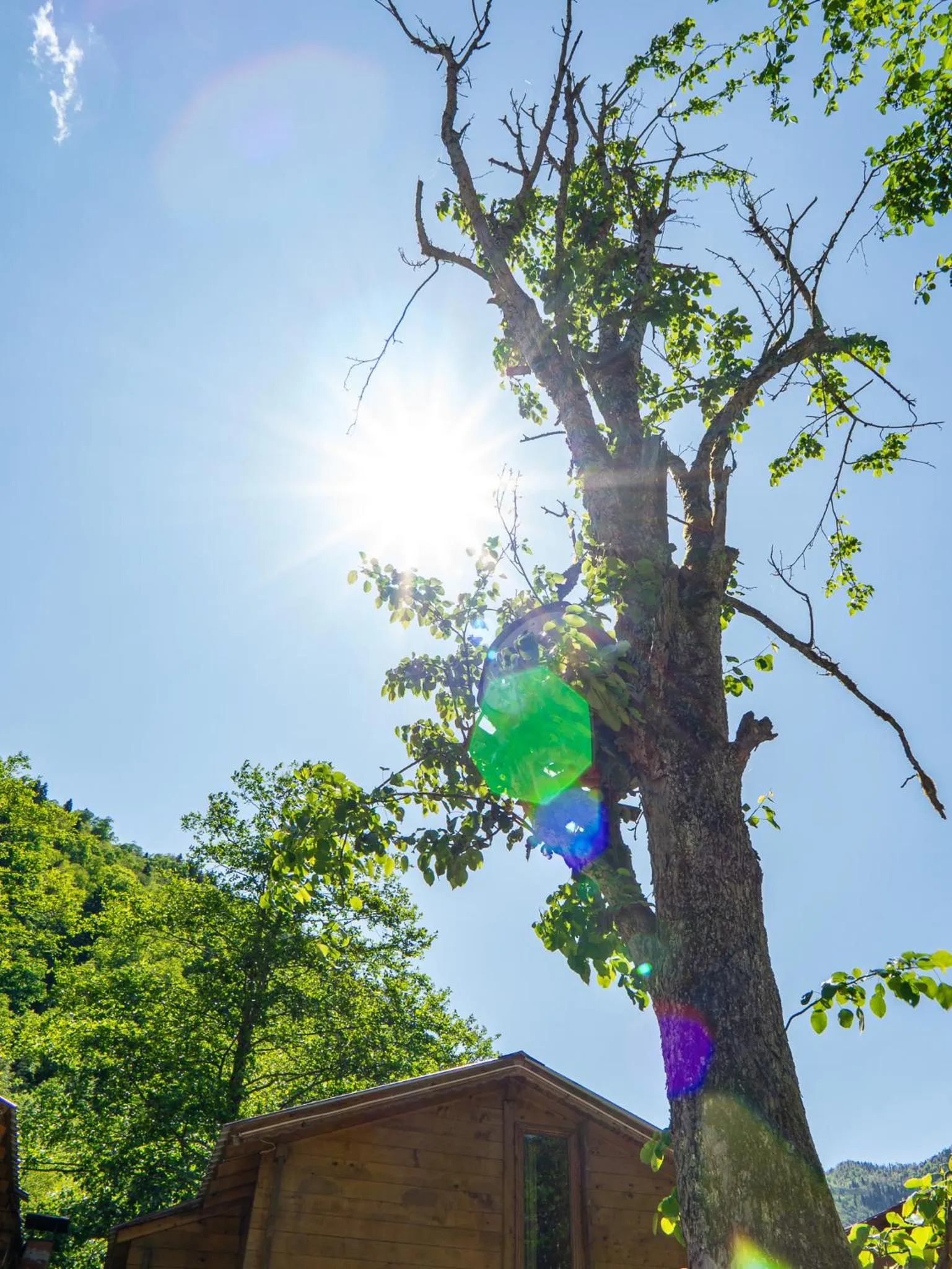 Spring in Sumda Konaklar