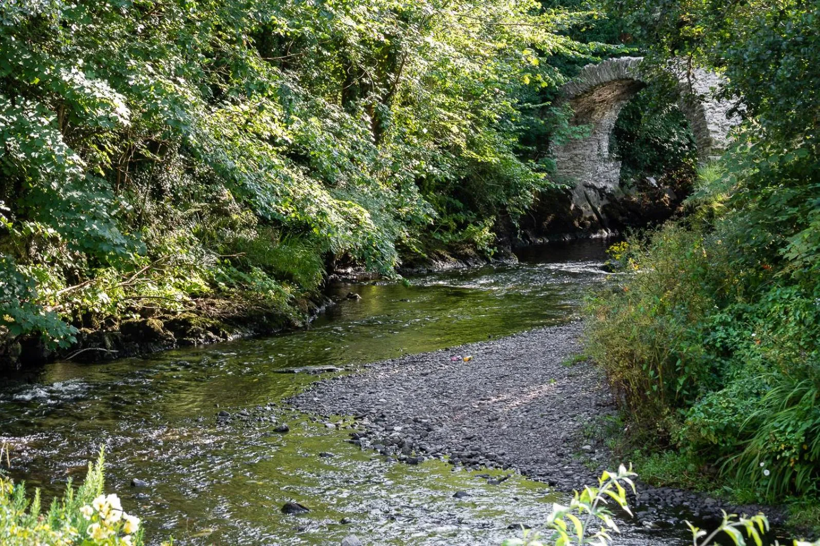 Natural landscape in Bridge Street Townhouse