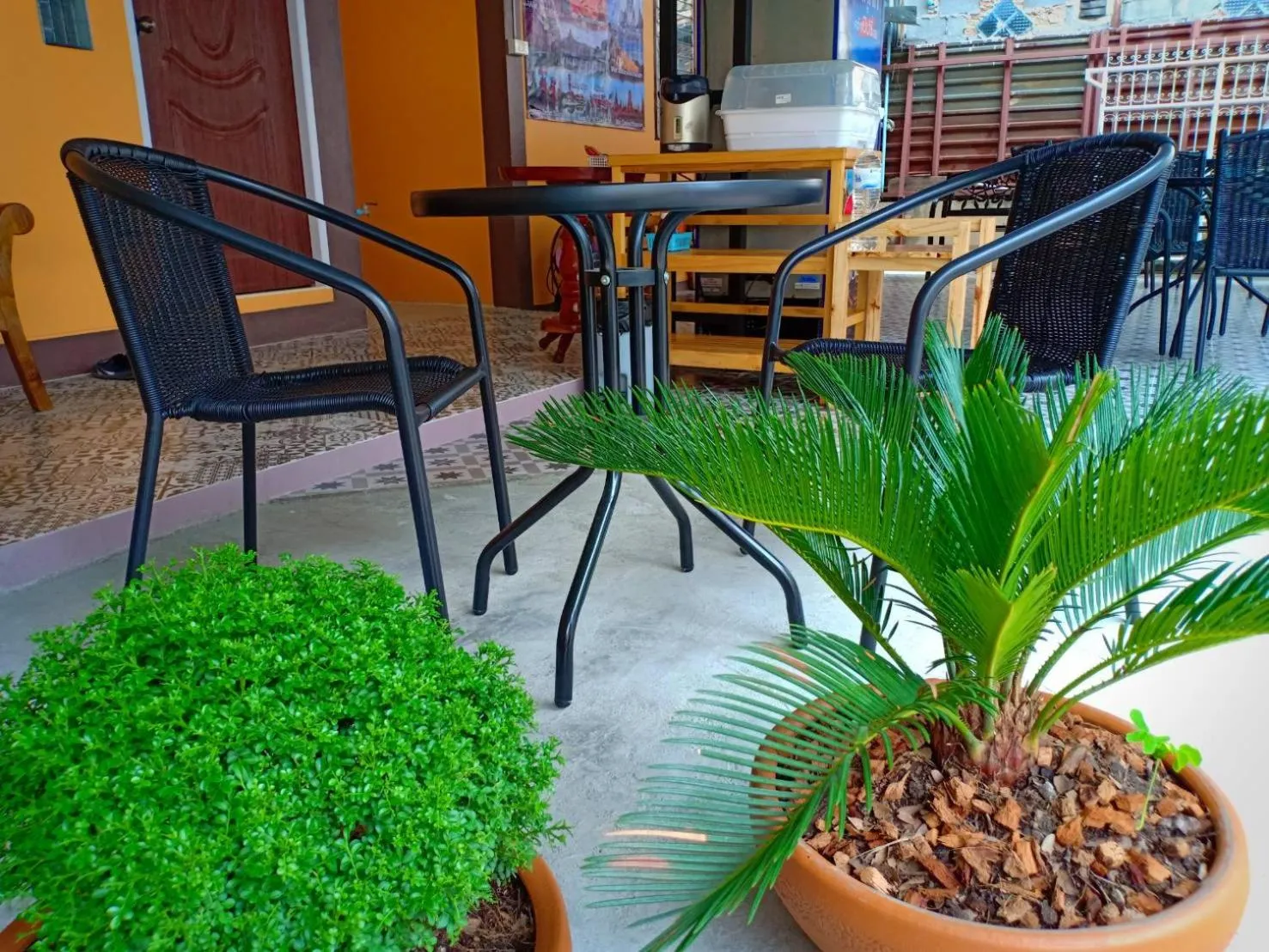 Garden view in Siri Guesthouse