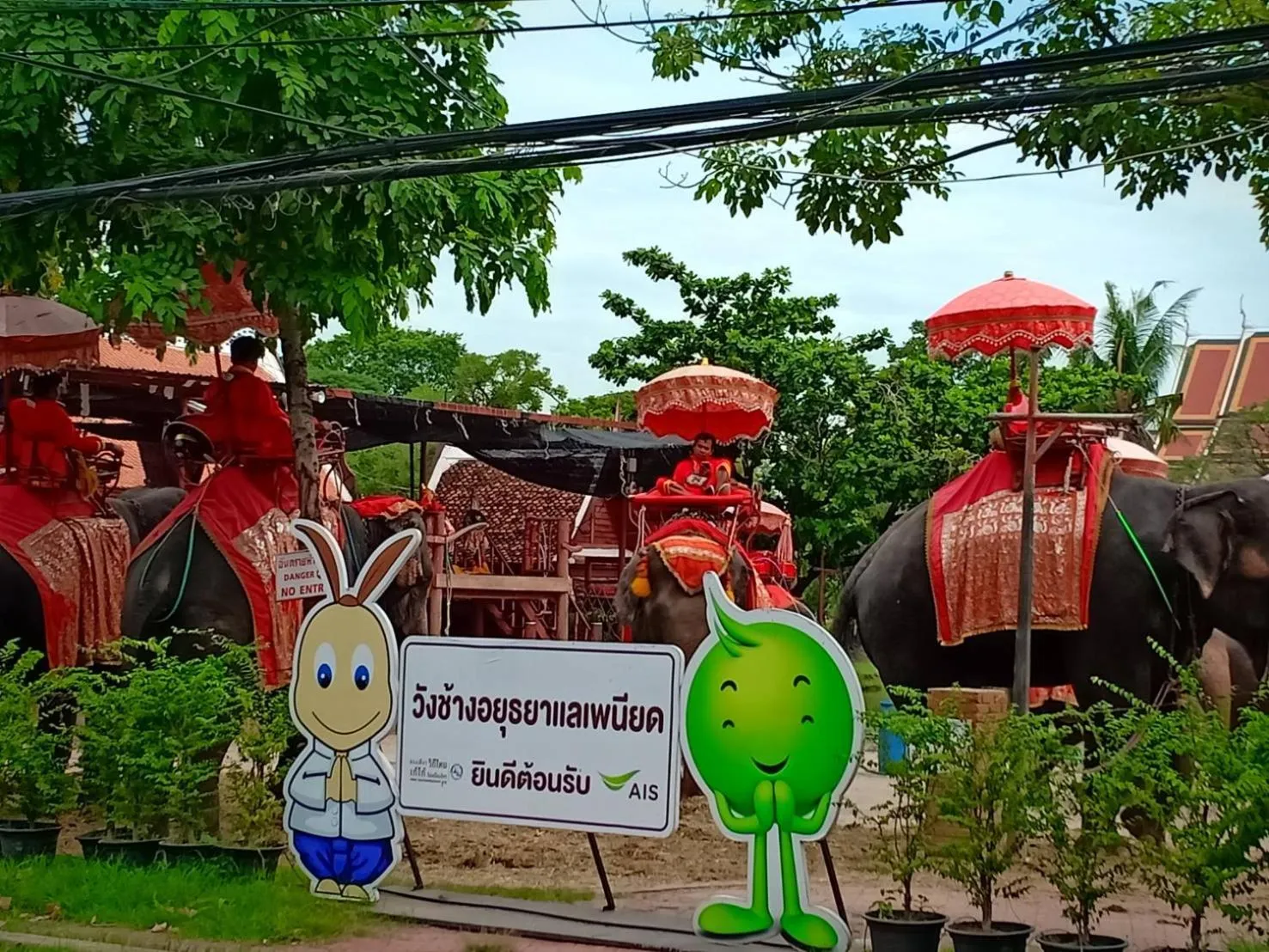 Garden in Siri Guesthouse