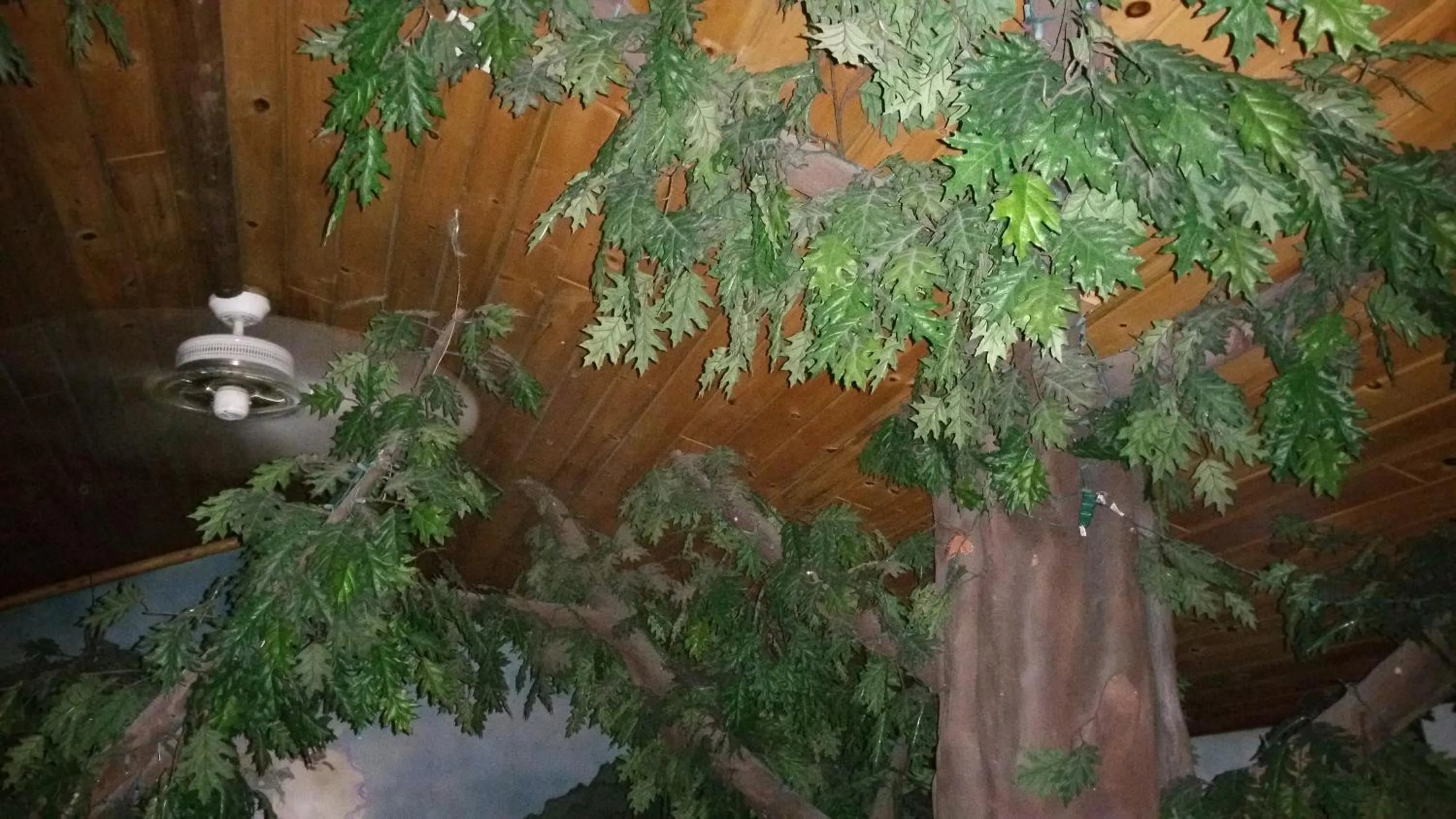 View (from property/room) in Castle Wood Theme Cottages- COUPLES ONLY