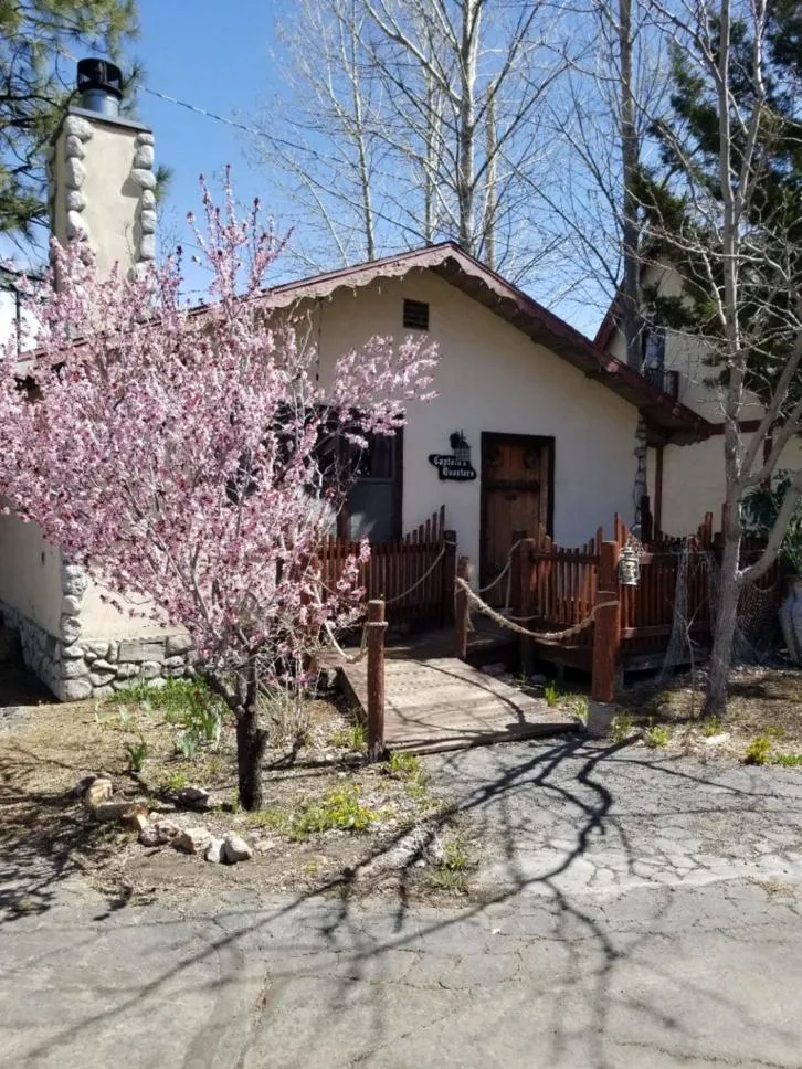 Property building in Castle Wood Theme Cottages- COUPLES ONLY