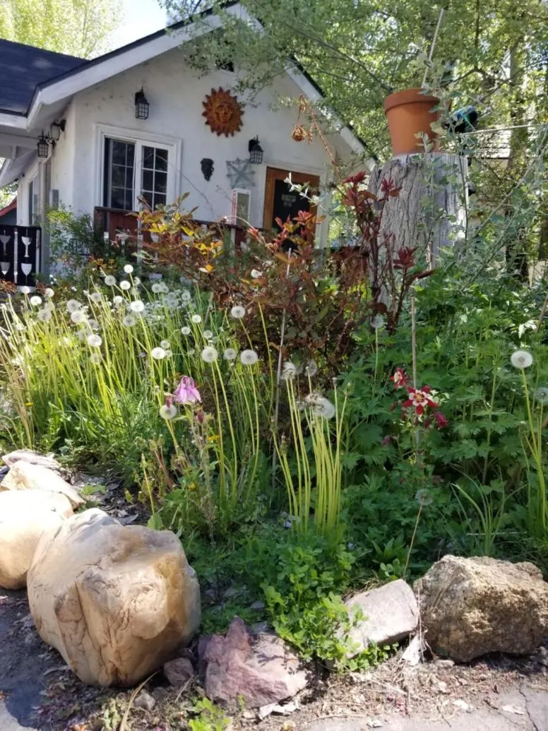 Property building in Castle Wood Theme Cottages- COUPLES ONLY