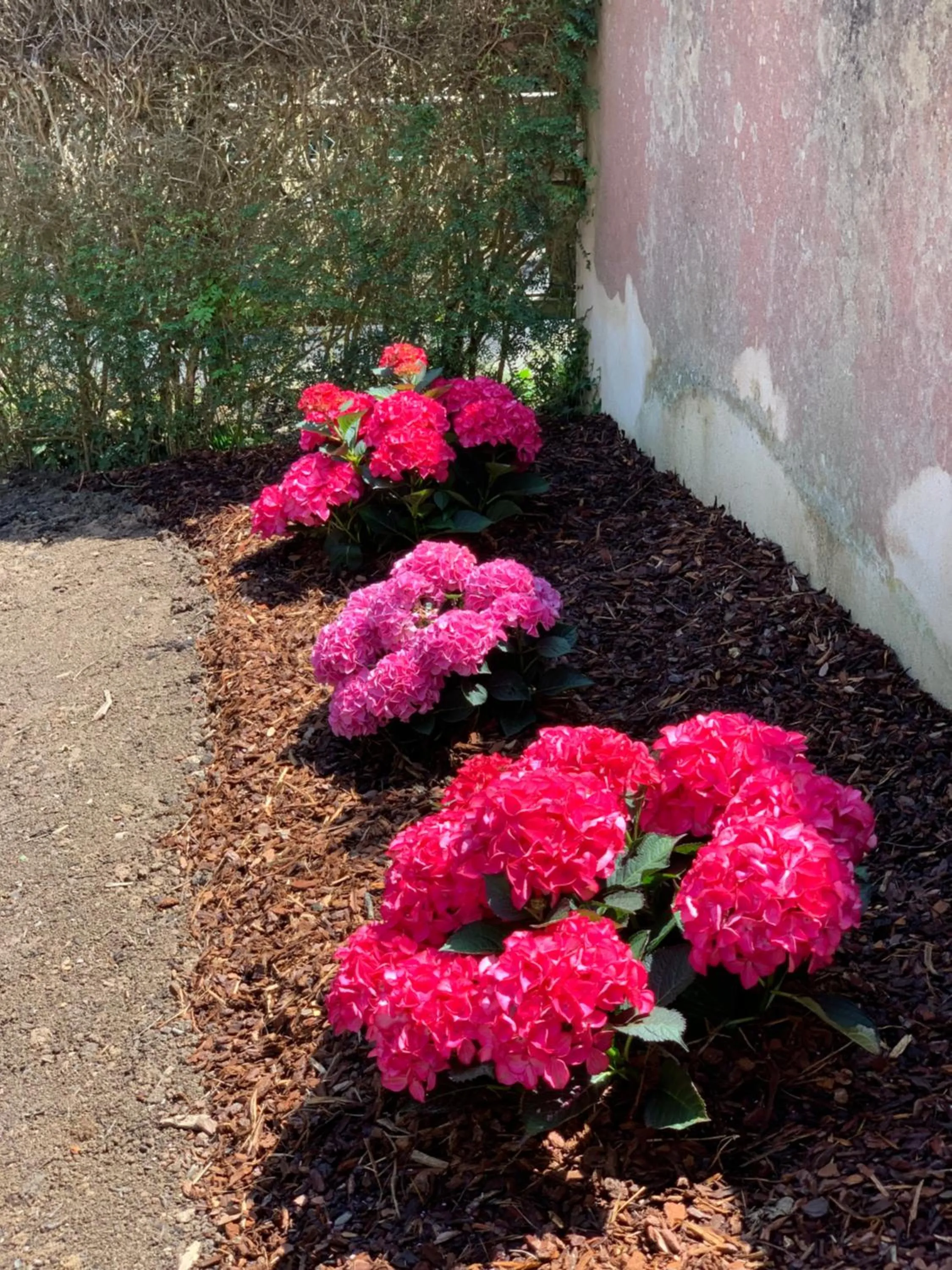 Garden in La maison des Légendes
