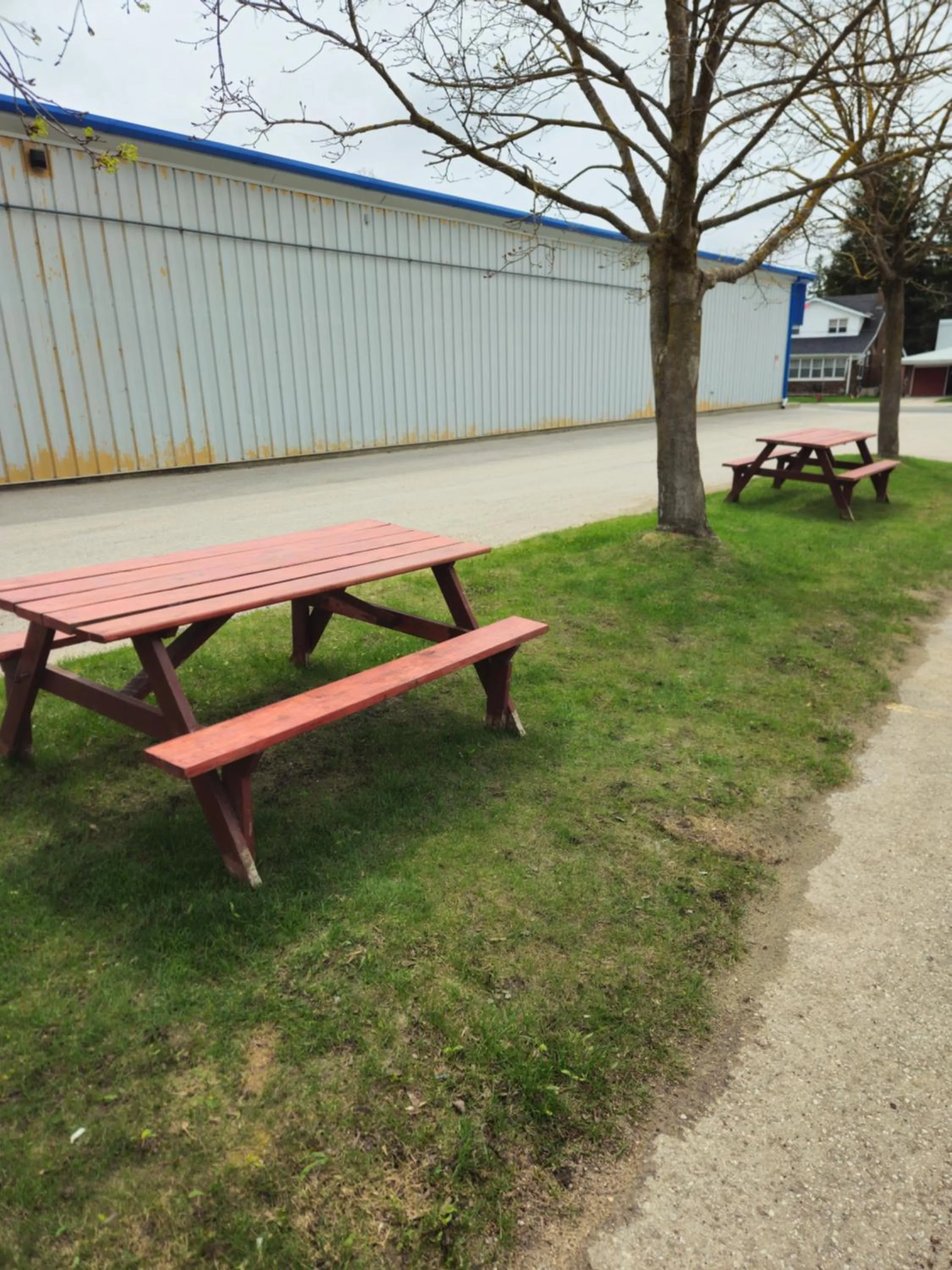 Spring in Forest Plaza Motel