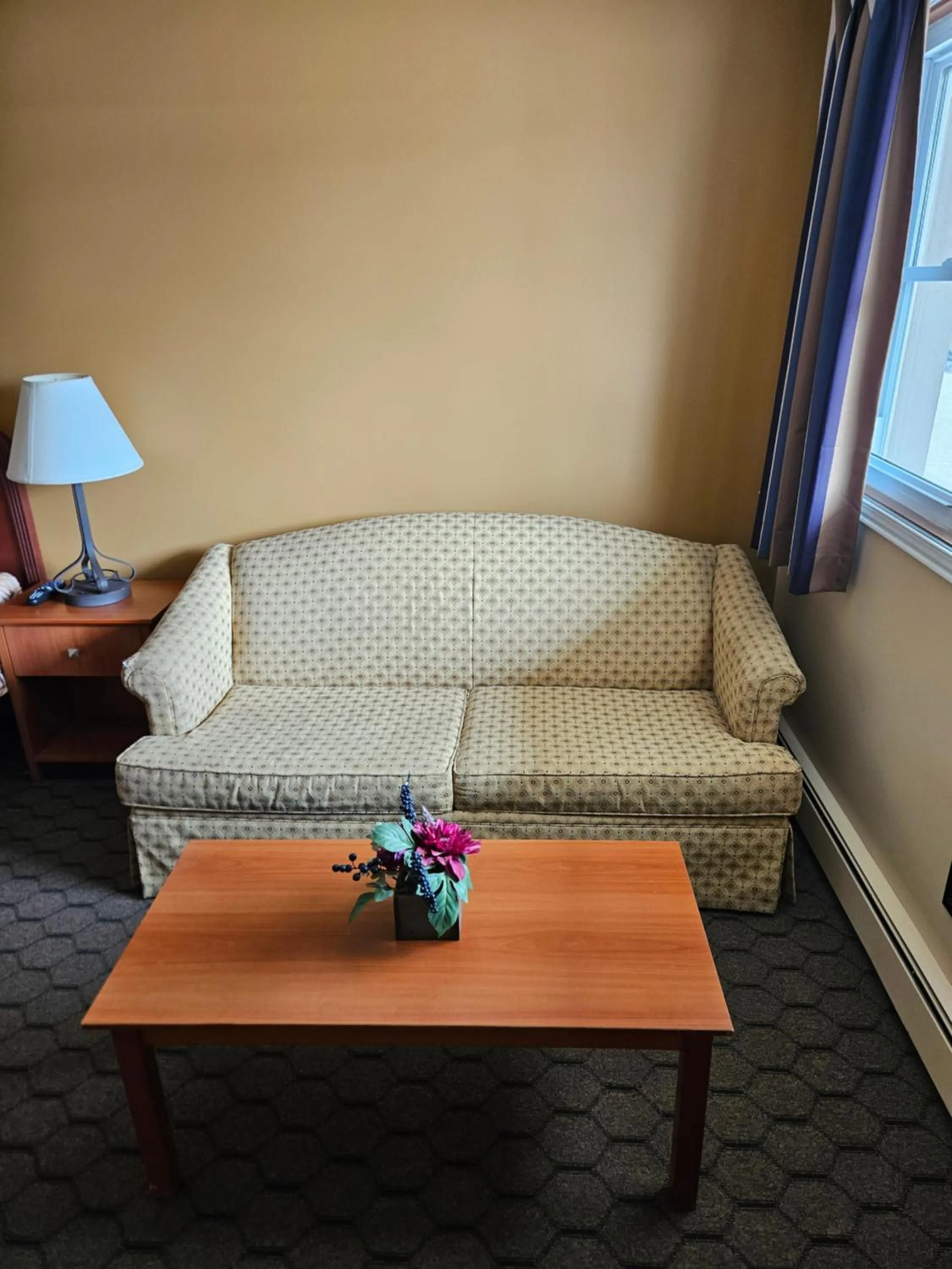 Bedroom in Forest Plaza Motel