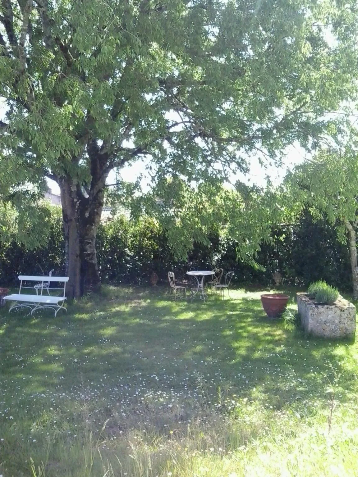 Garden in Château de Cauderoue
